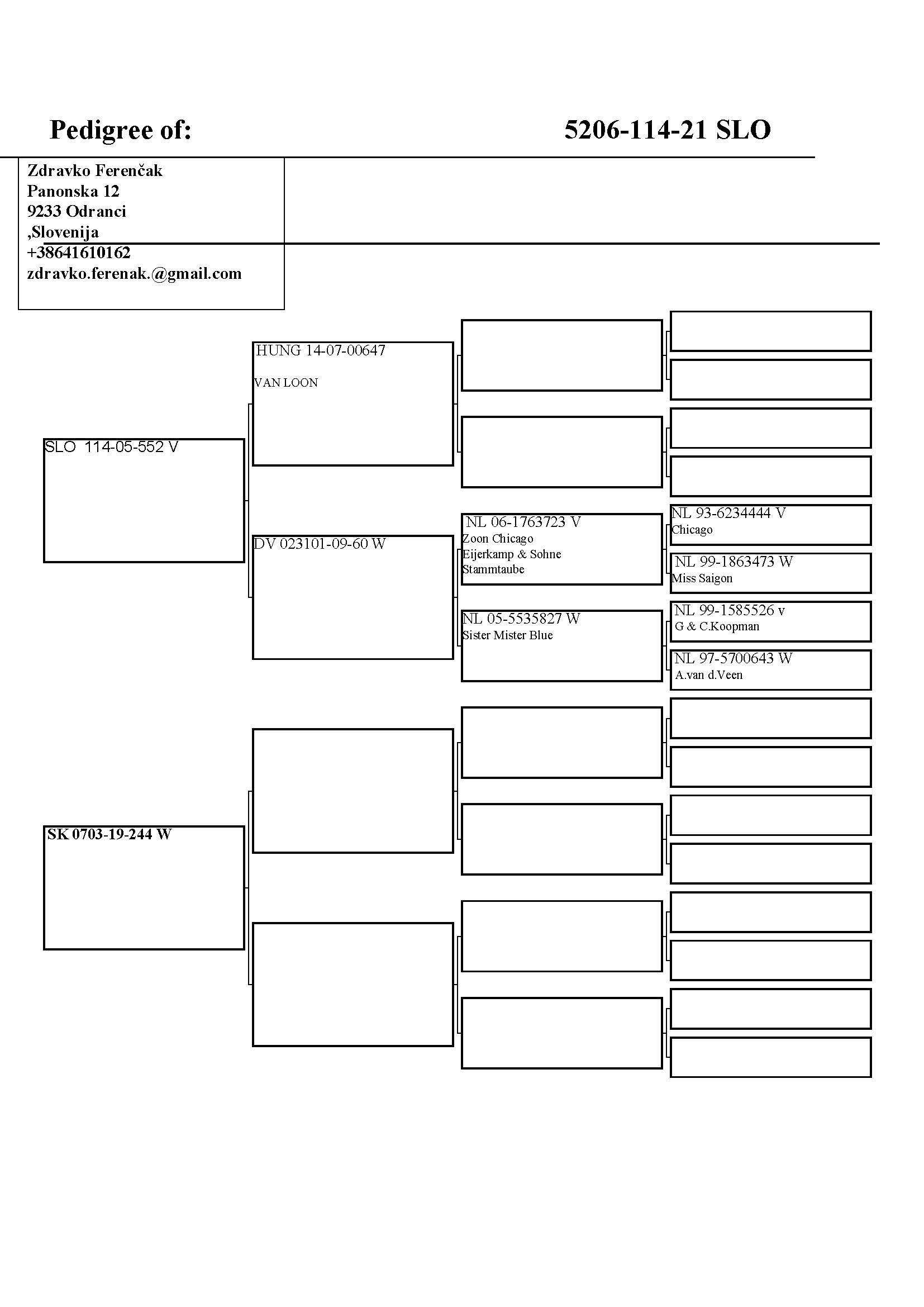 Pigeon pedigree image
