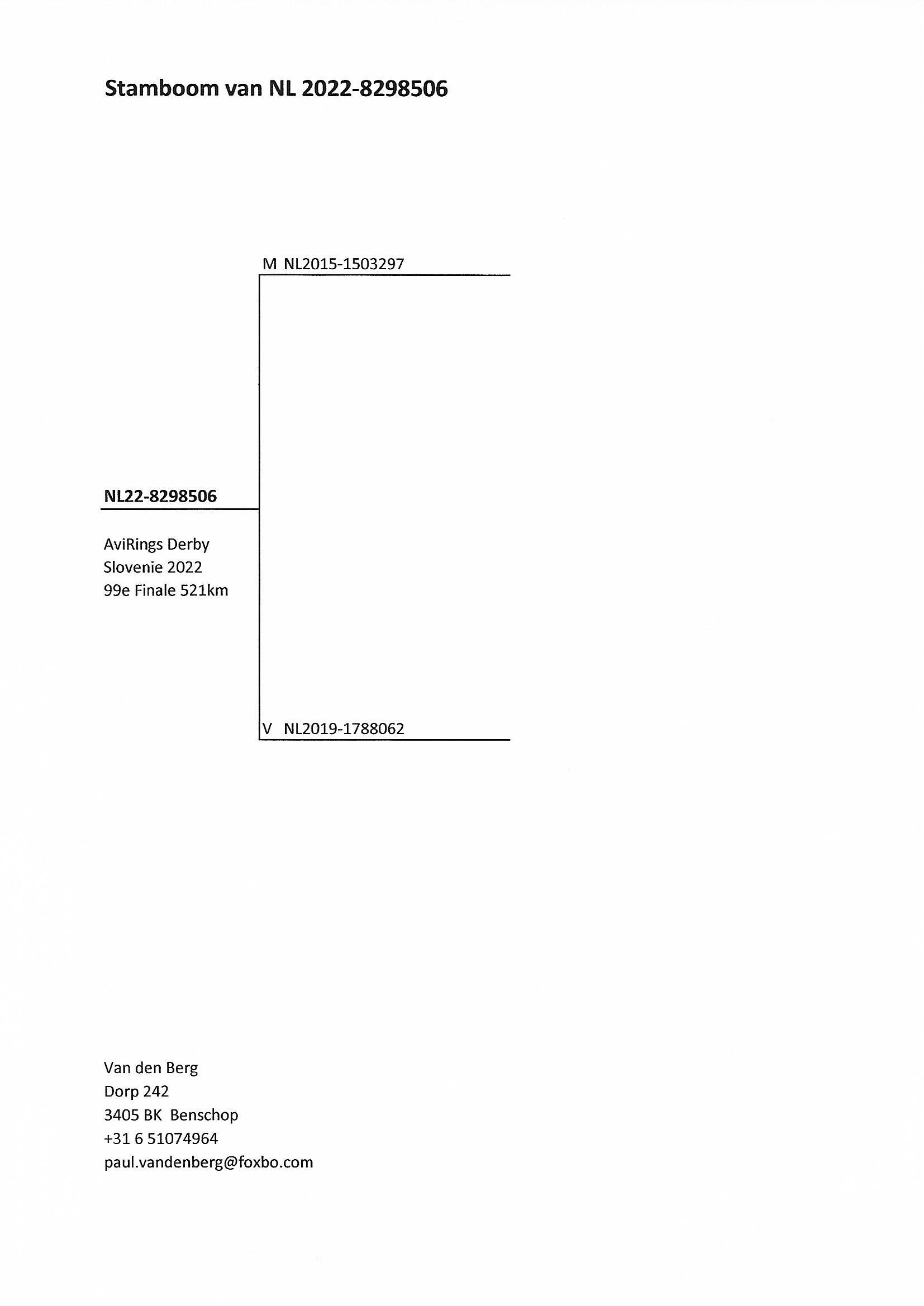 Pigeon pedigree image