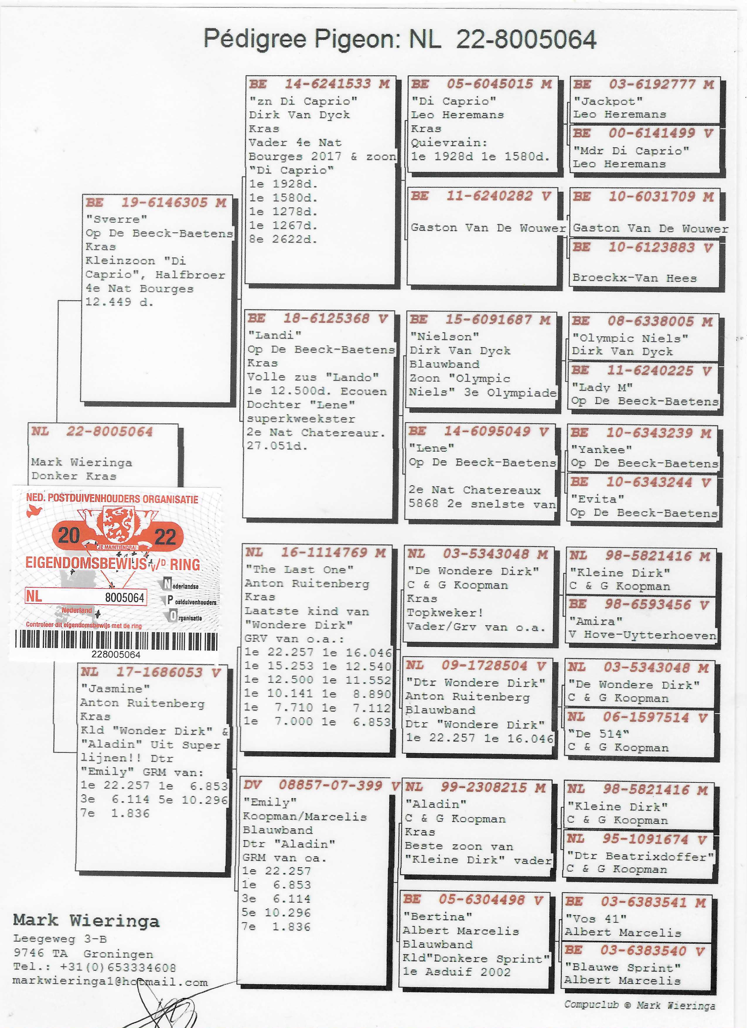Pigeon pedigree image