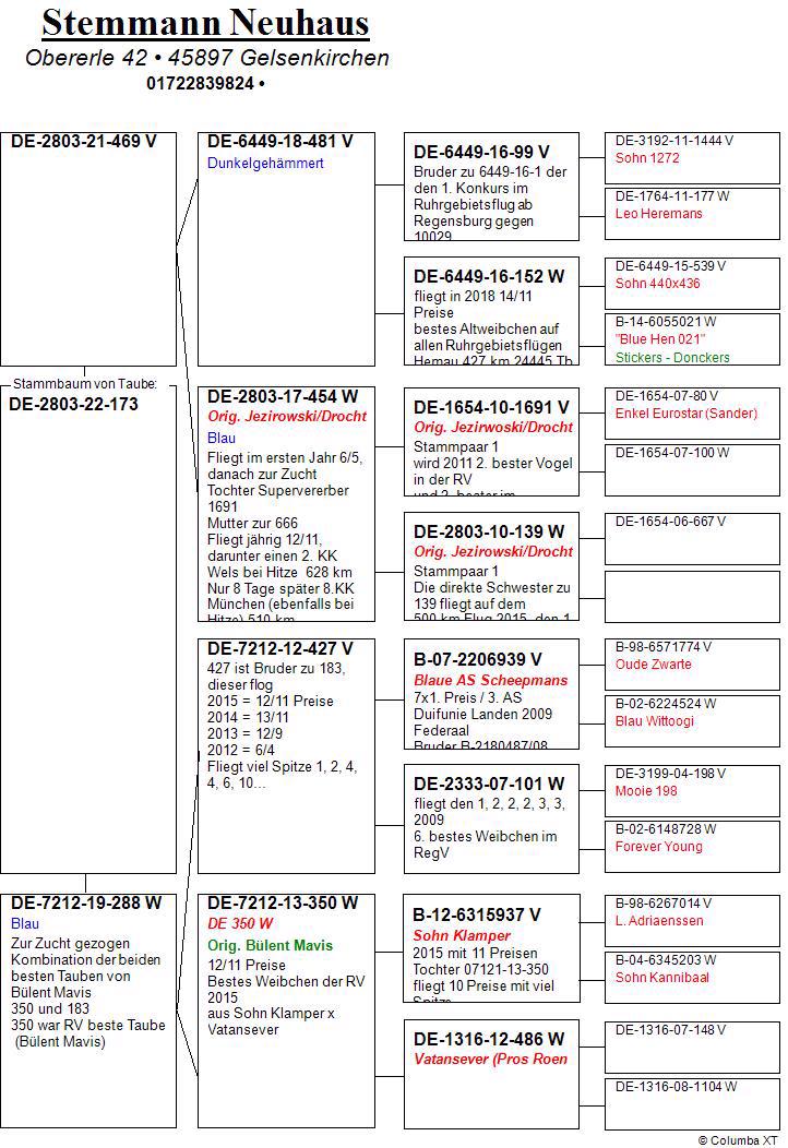 Pigeon pedigree image