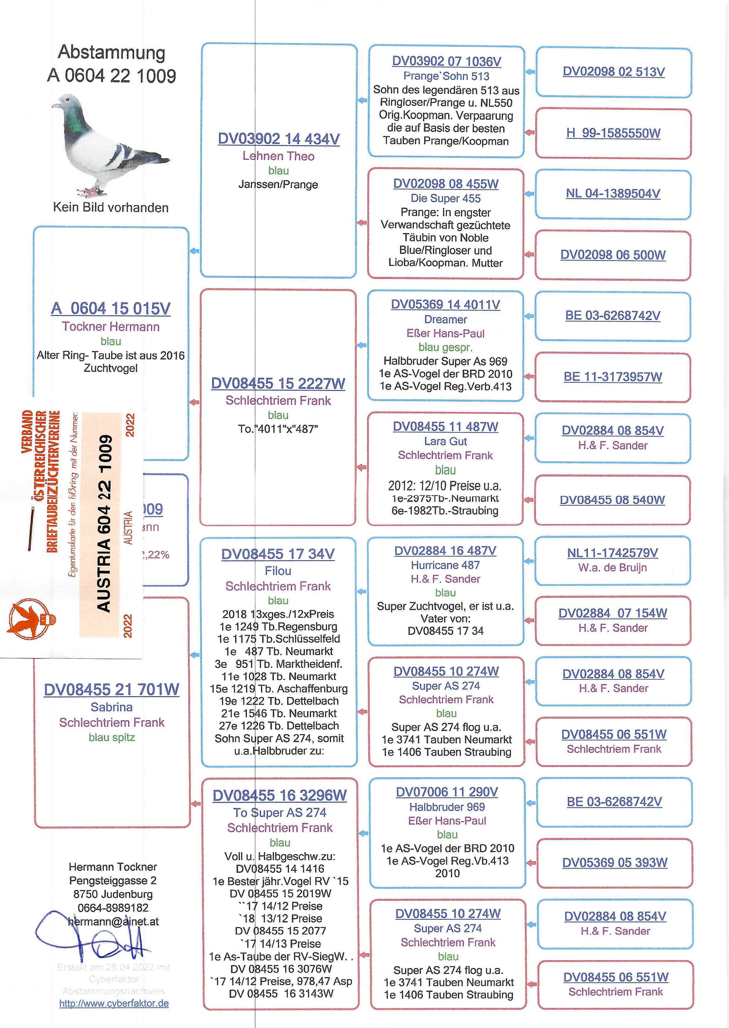 Pigeon pedigree image