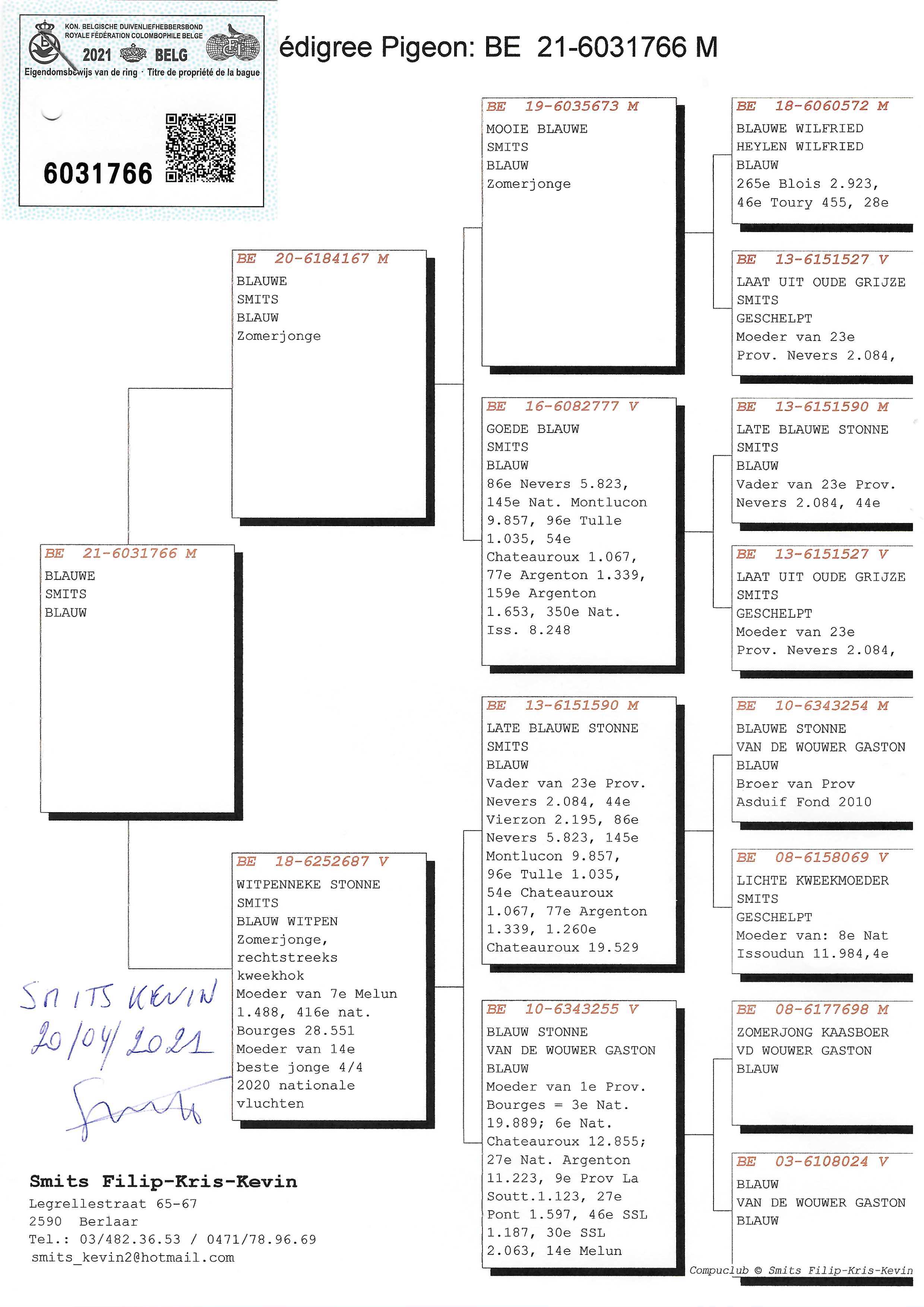 Pigeon pedigree image