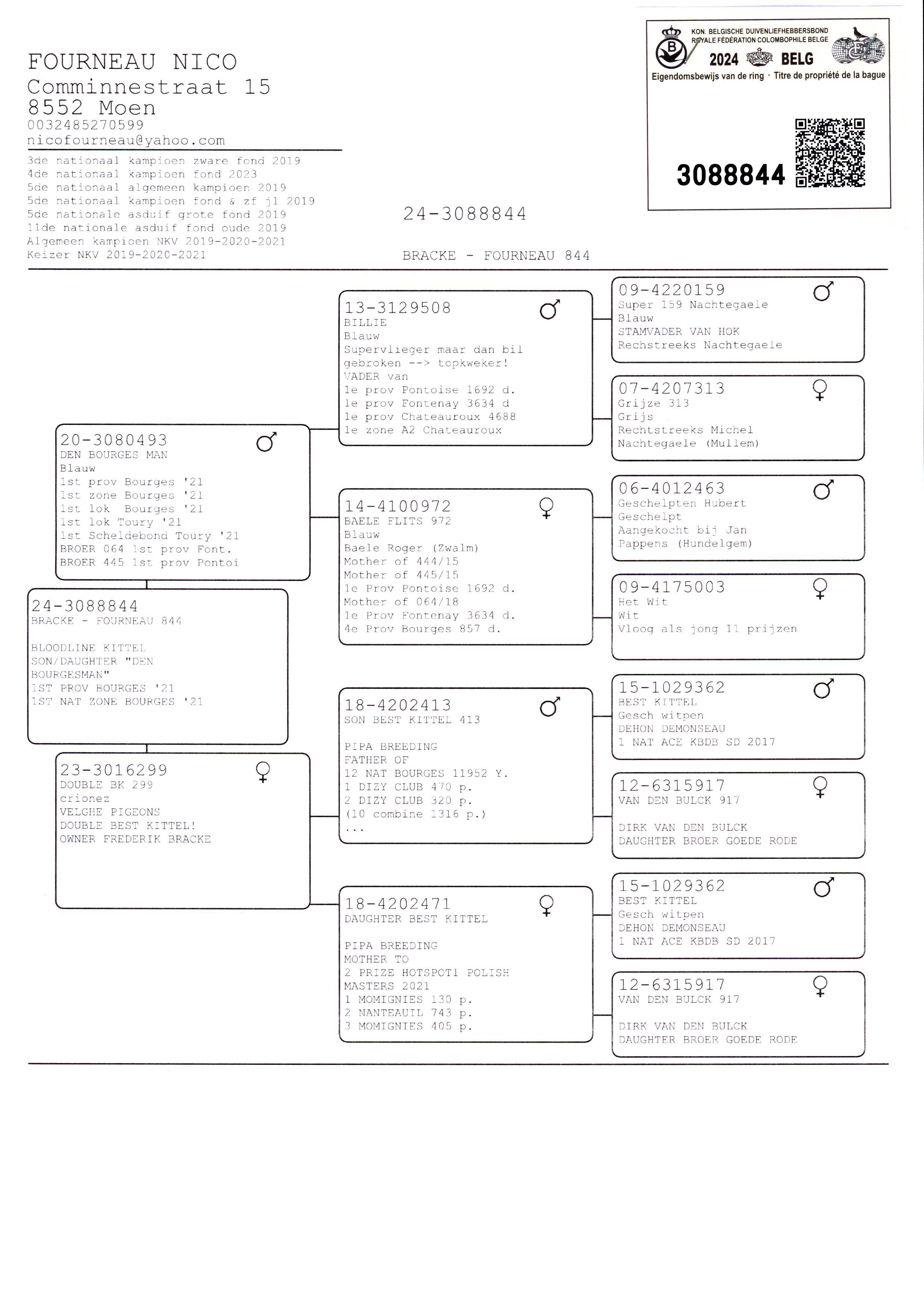 Pigeon pedigree image