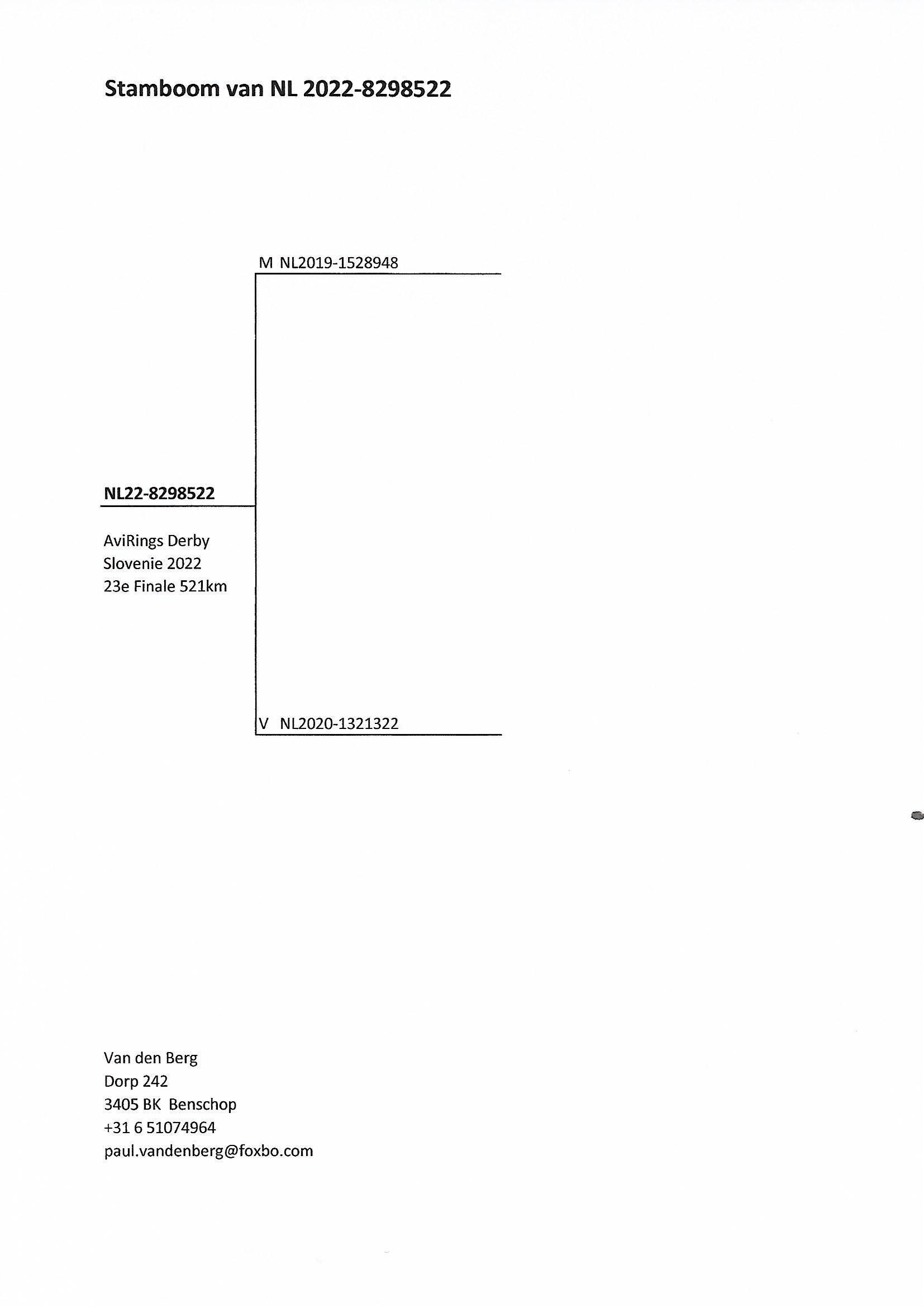 Pigeon pedigree image
