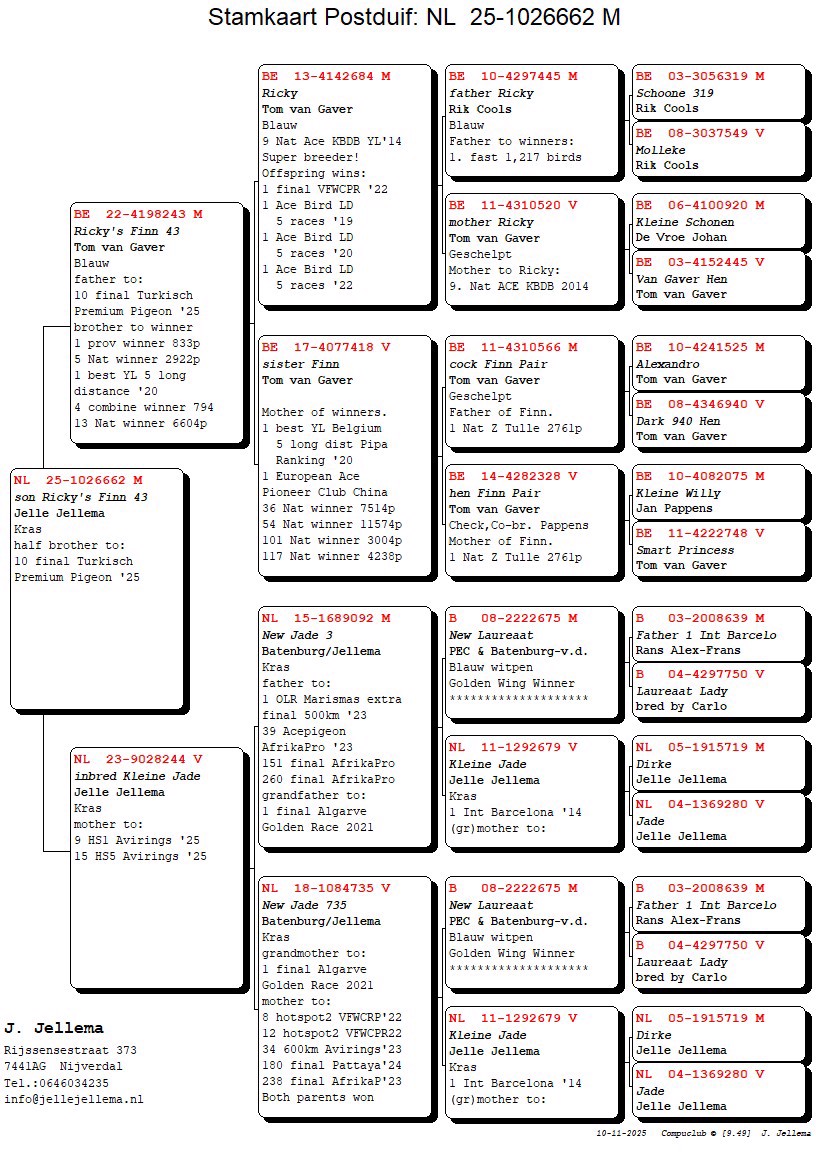 Pigeon pedigree image