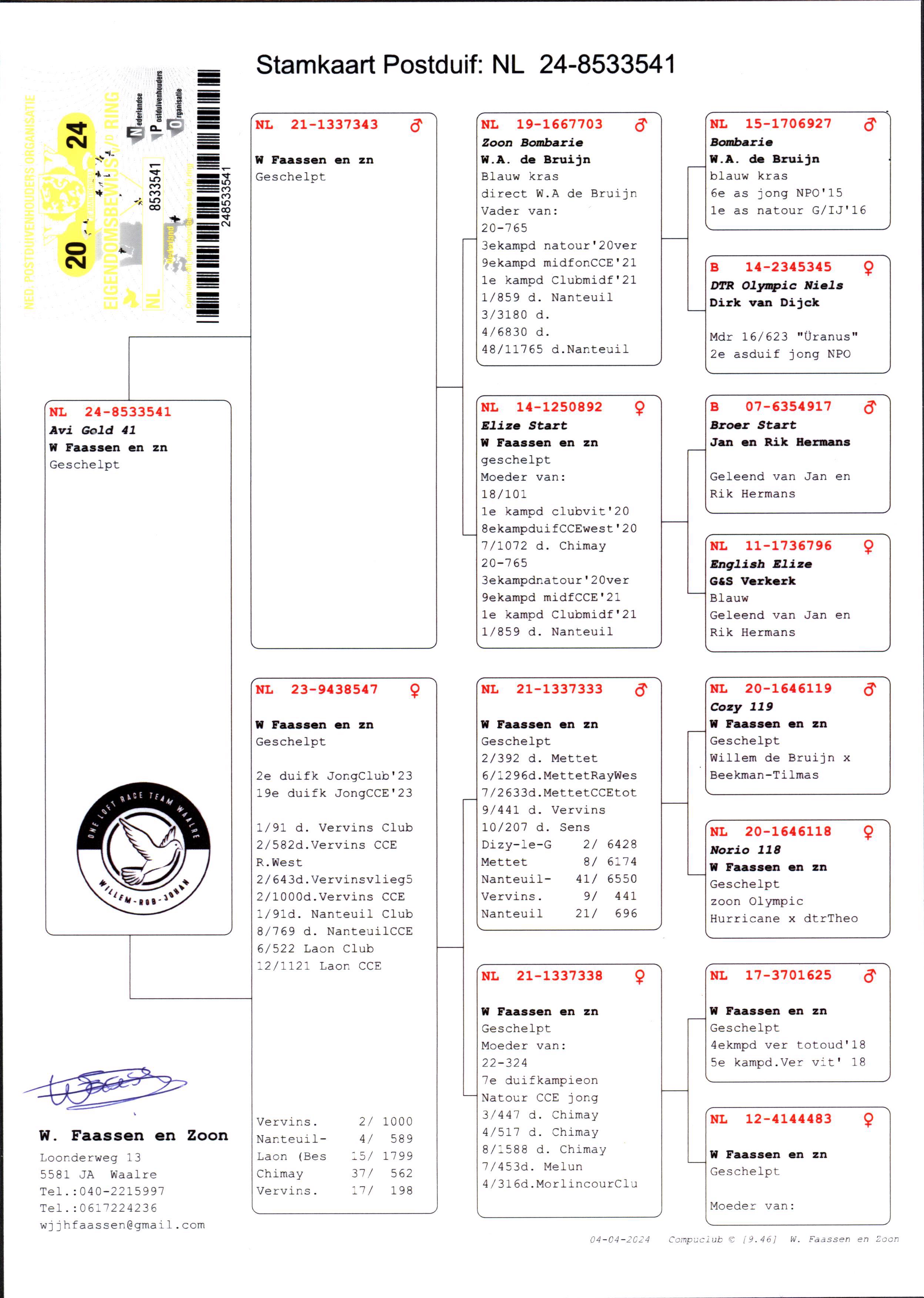 Pigeon pedigree image