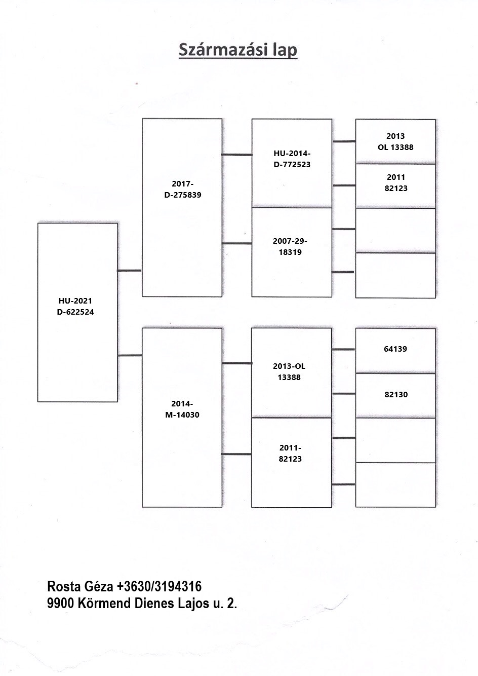 Pigeon pedigree image