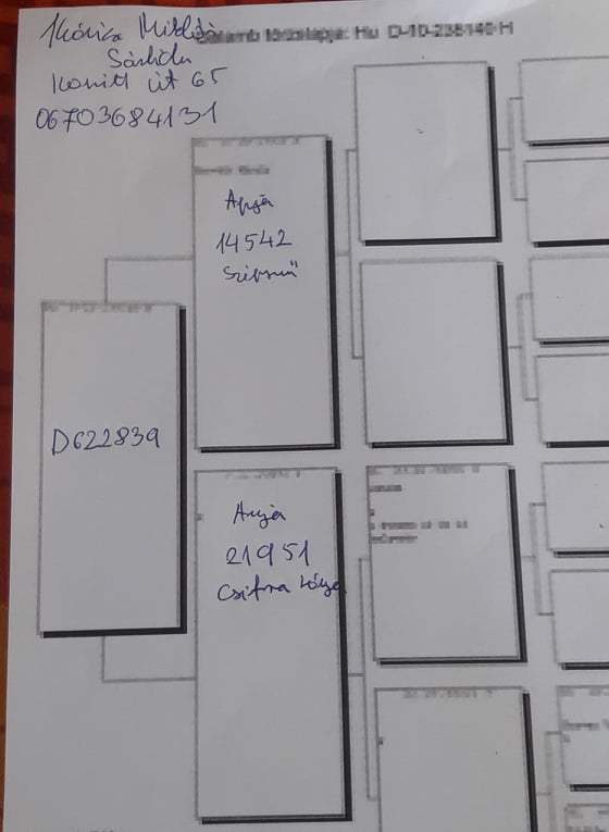 Pigeon pedigree image