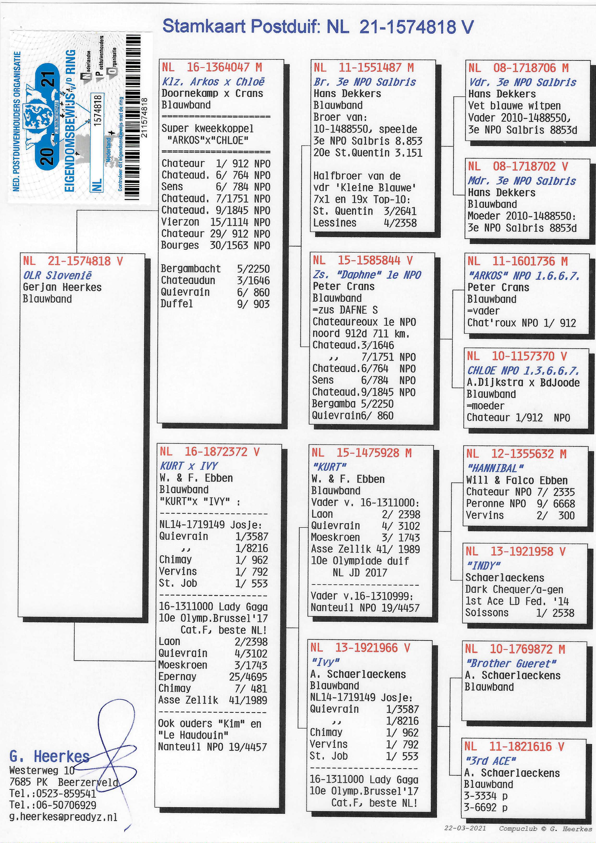 Pigeon pedigree image