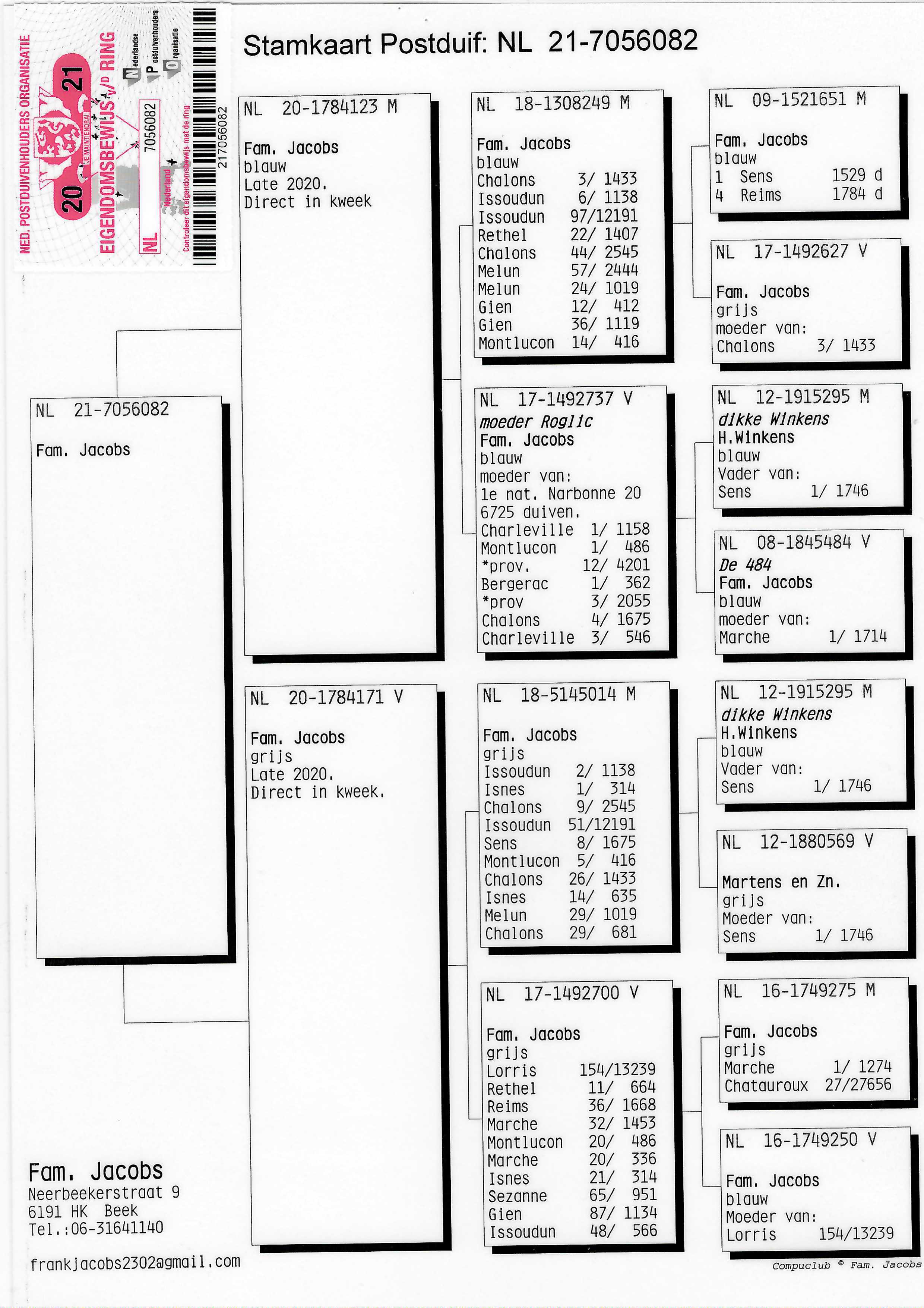 Pigeon pedigree image