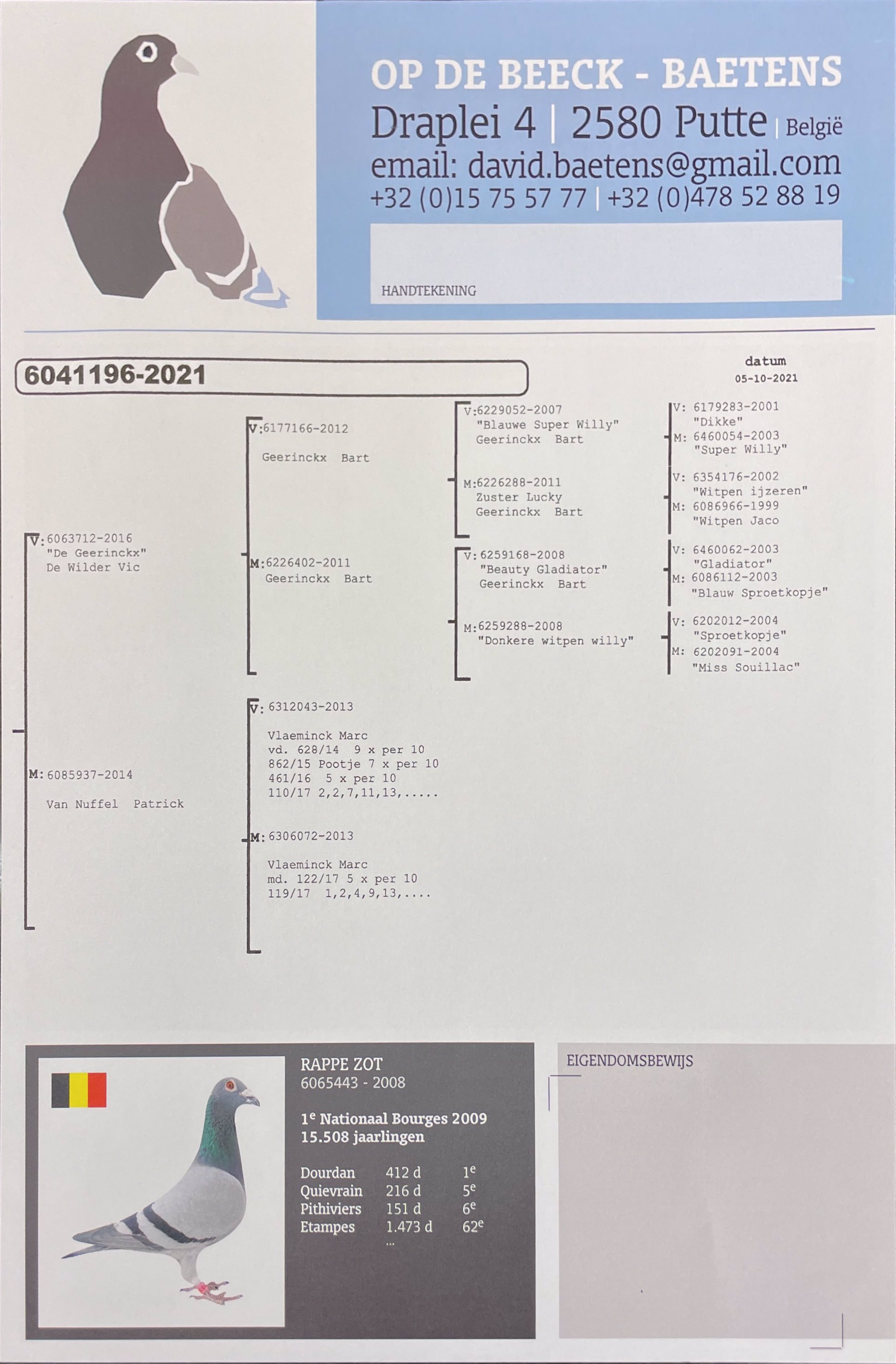 Pigeon pedigree image
