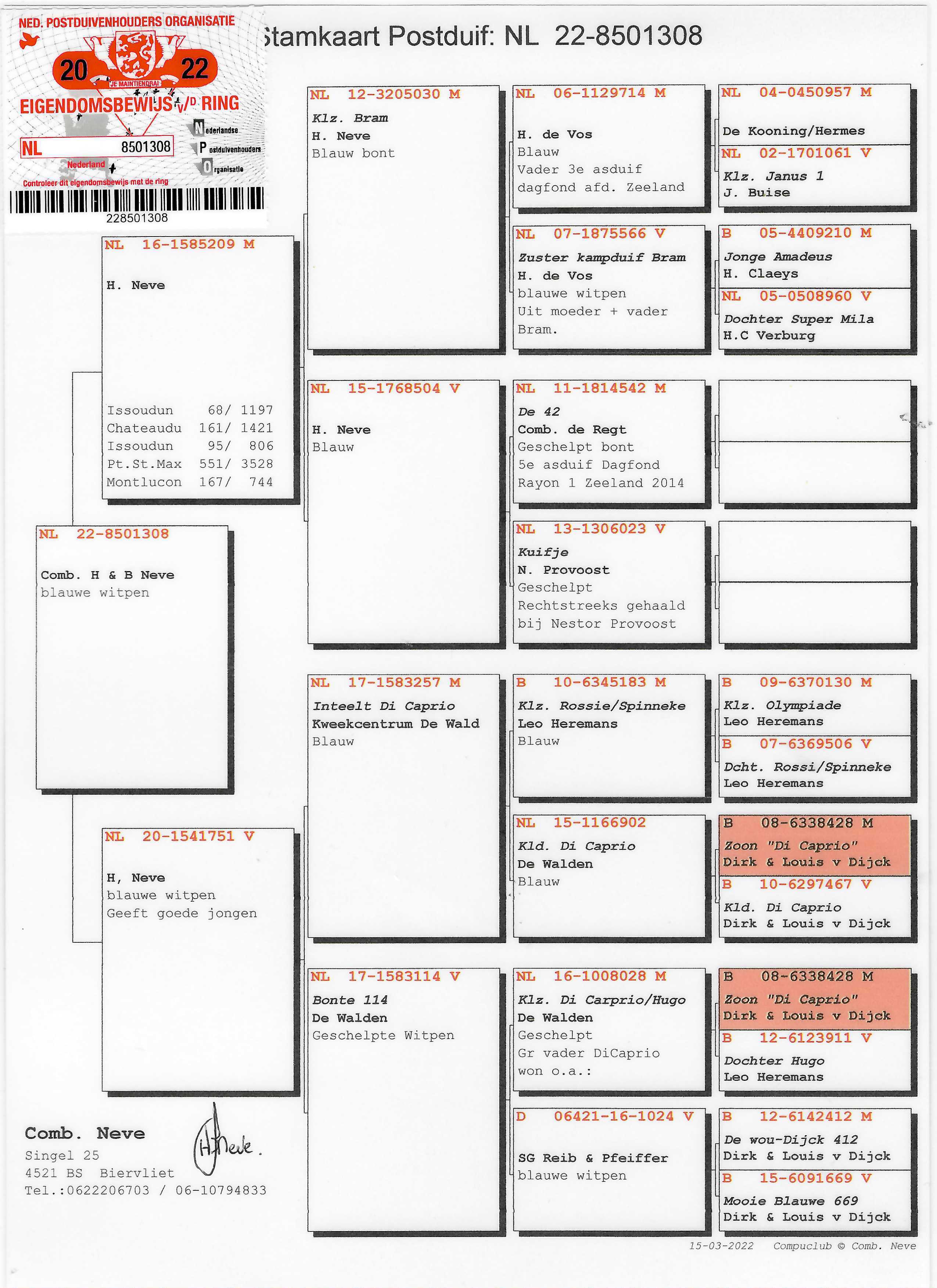 Pigeon pedigree image