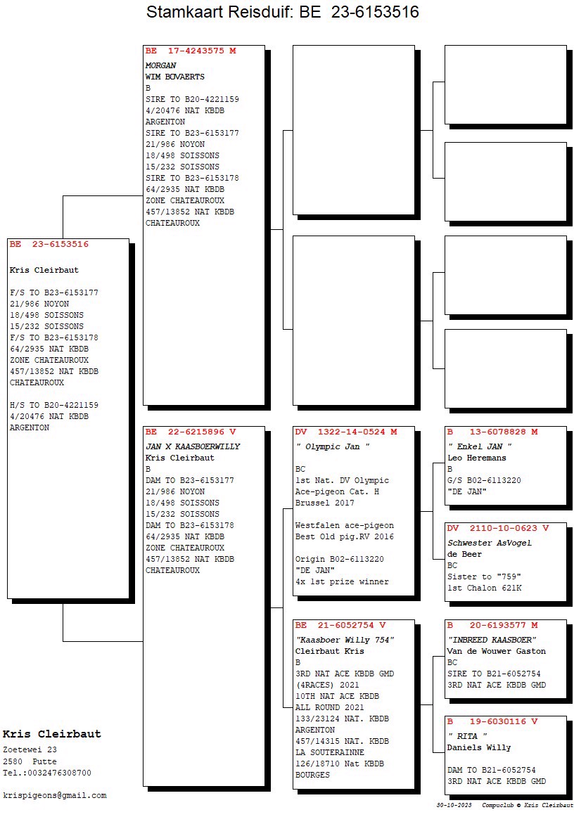 Pigeon pedigree image
