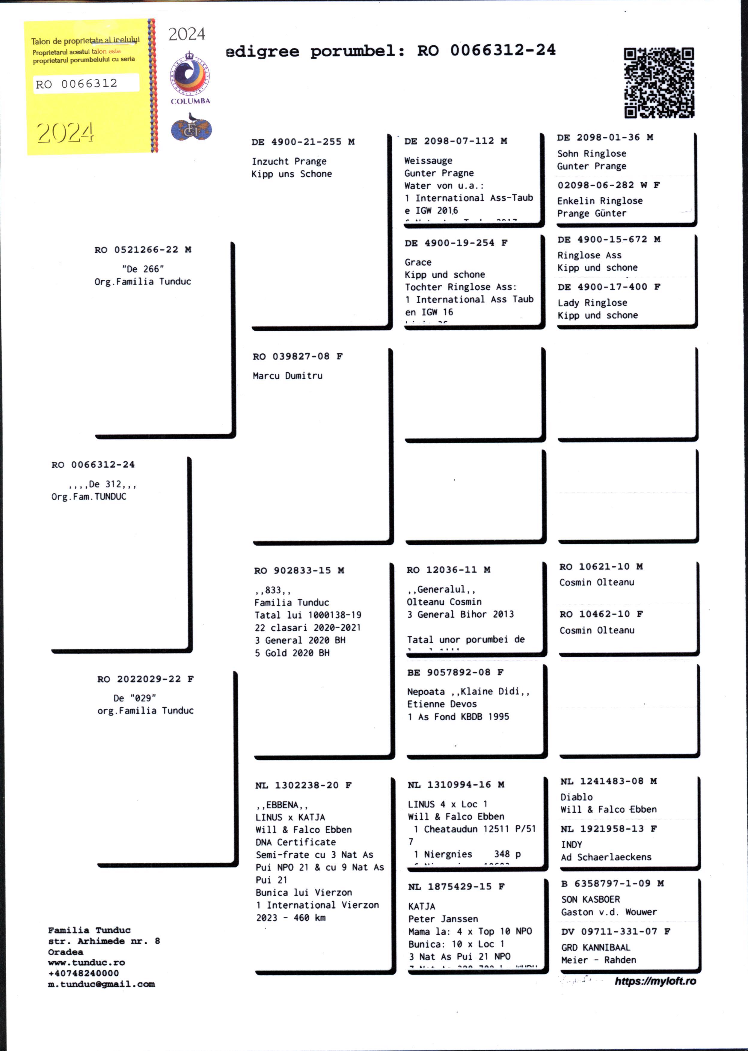 Pigeon pedigree image
