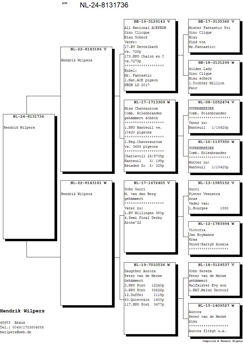 Pigeon pedigree image