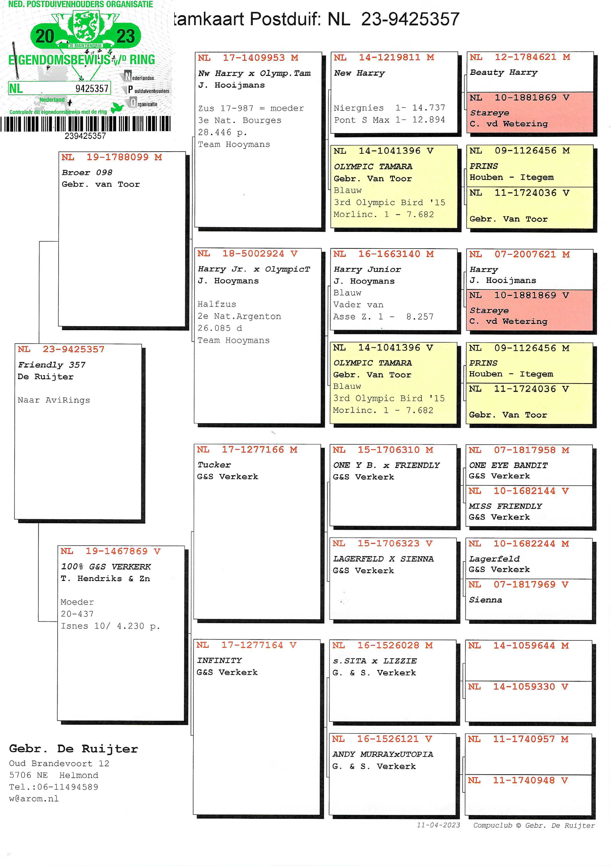 Pigeon pedigree image