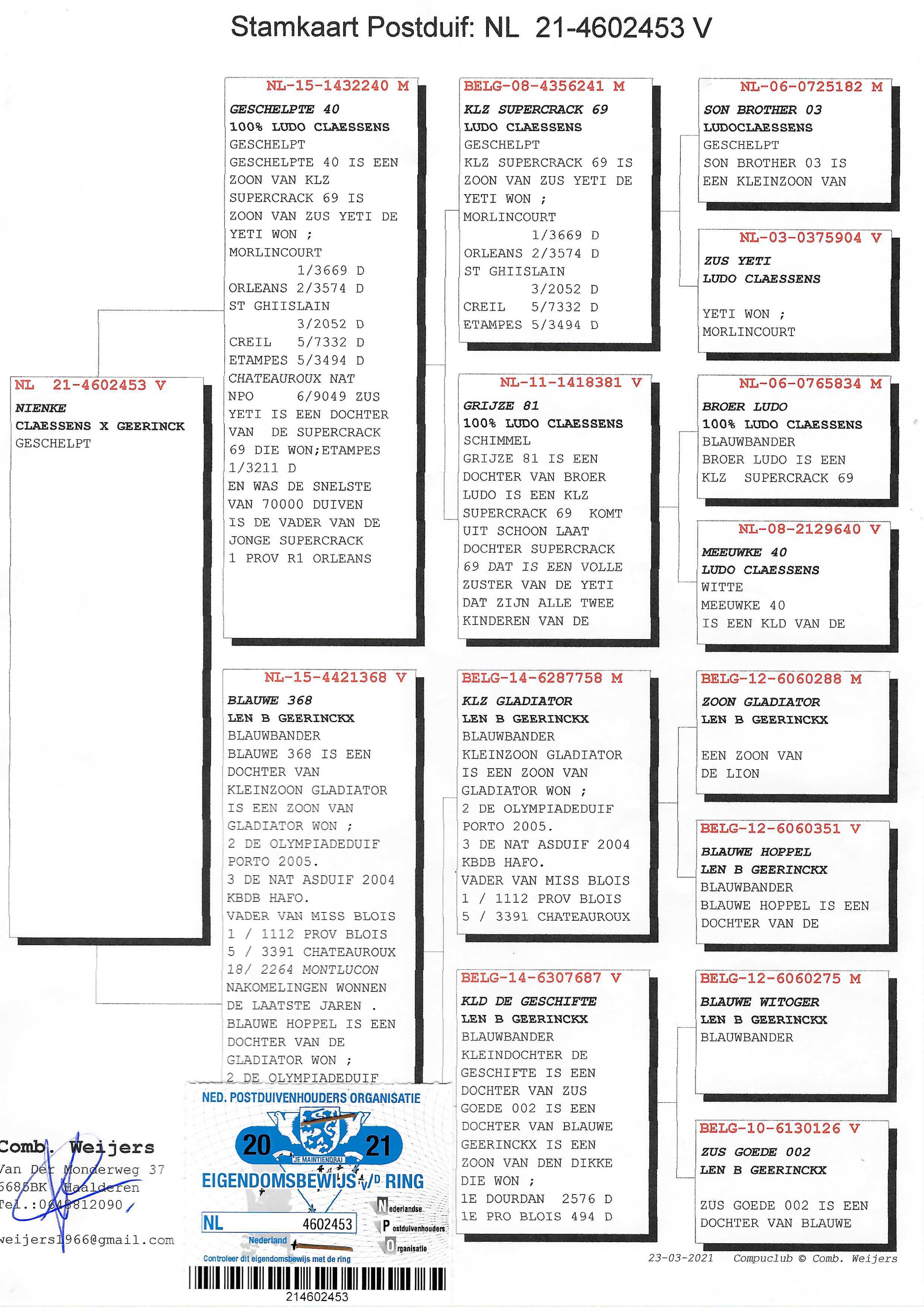 Pigeon pedigree image