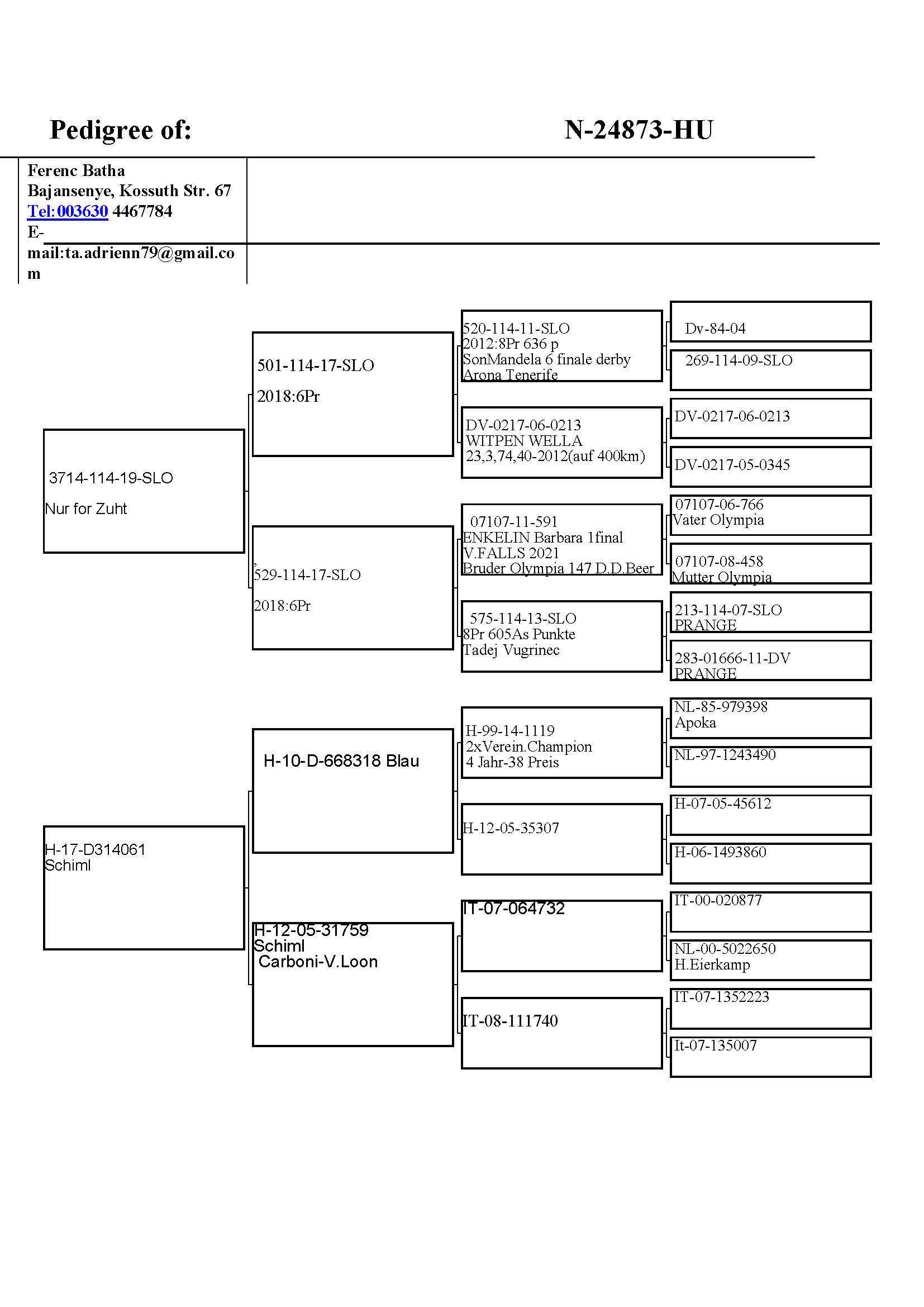 Pigeon pedigree image