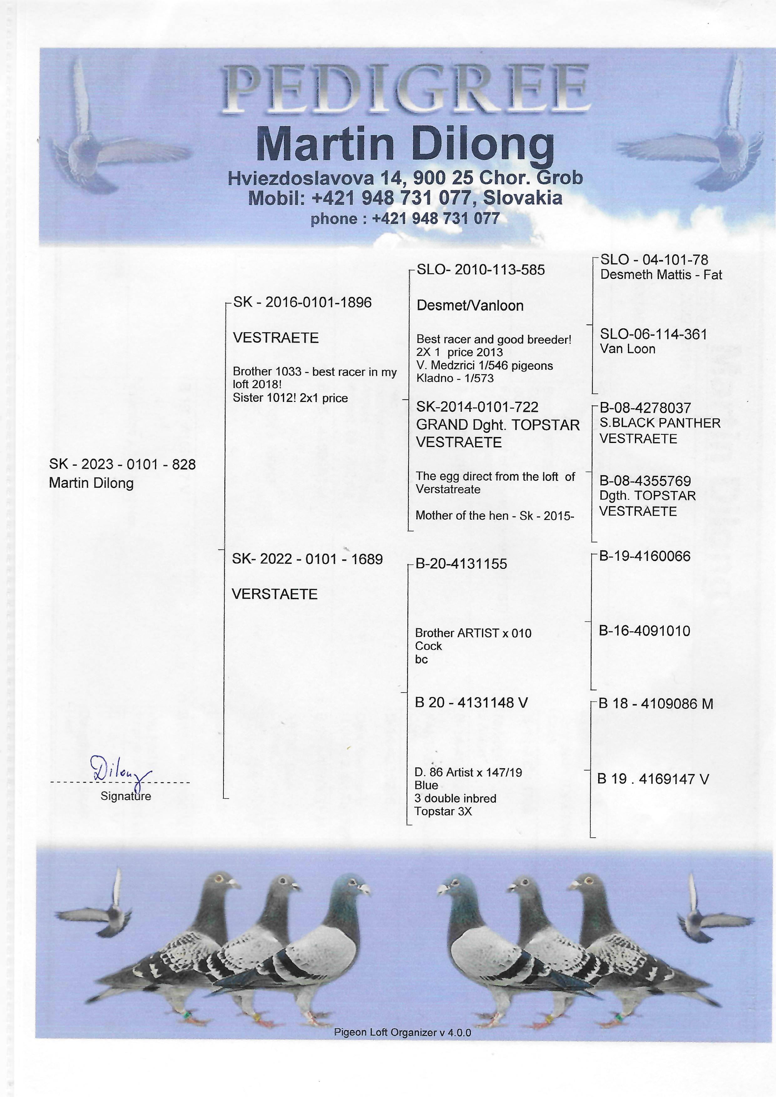 Pigeon pedigree image
