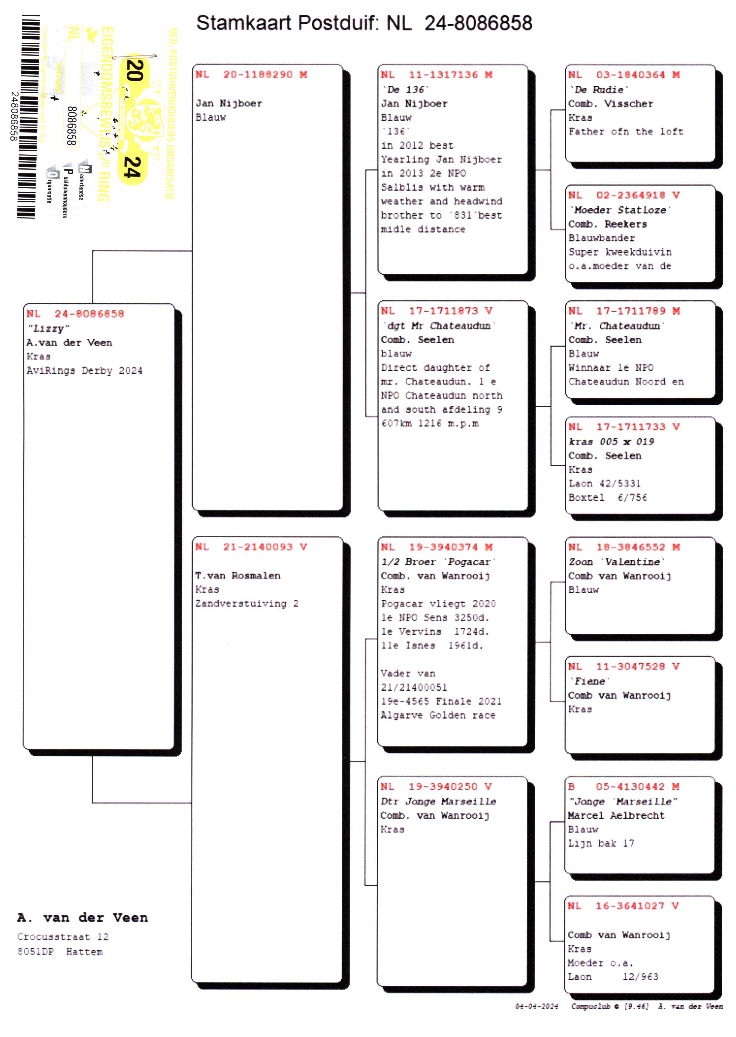 Pigeon pedigree image
