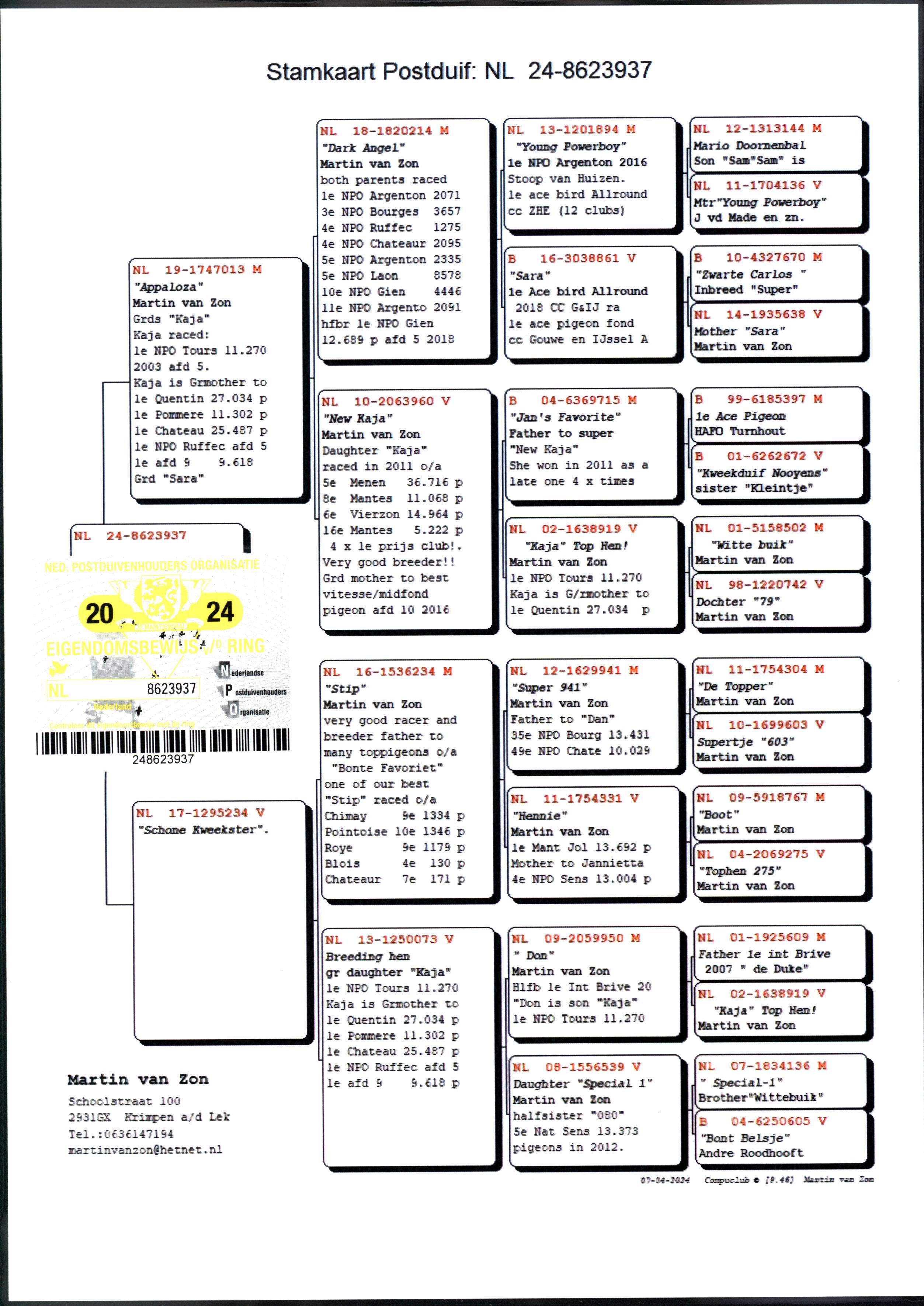 Pigeon pedigree image