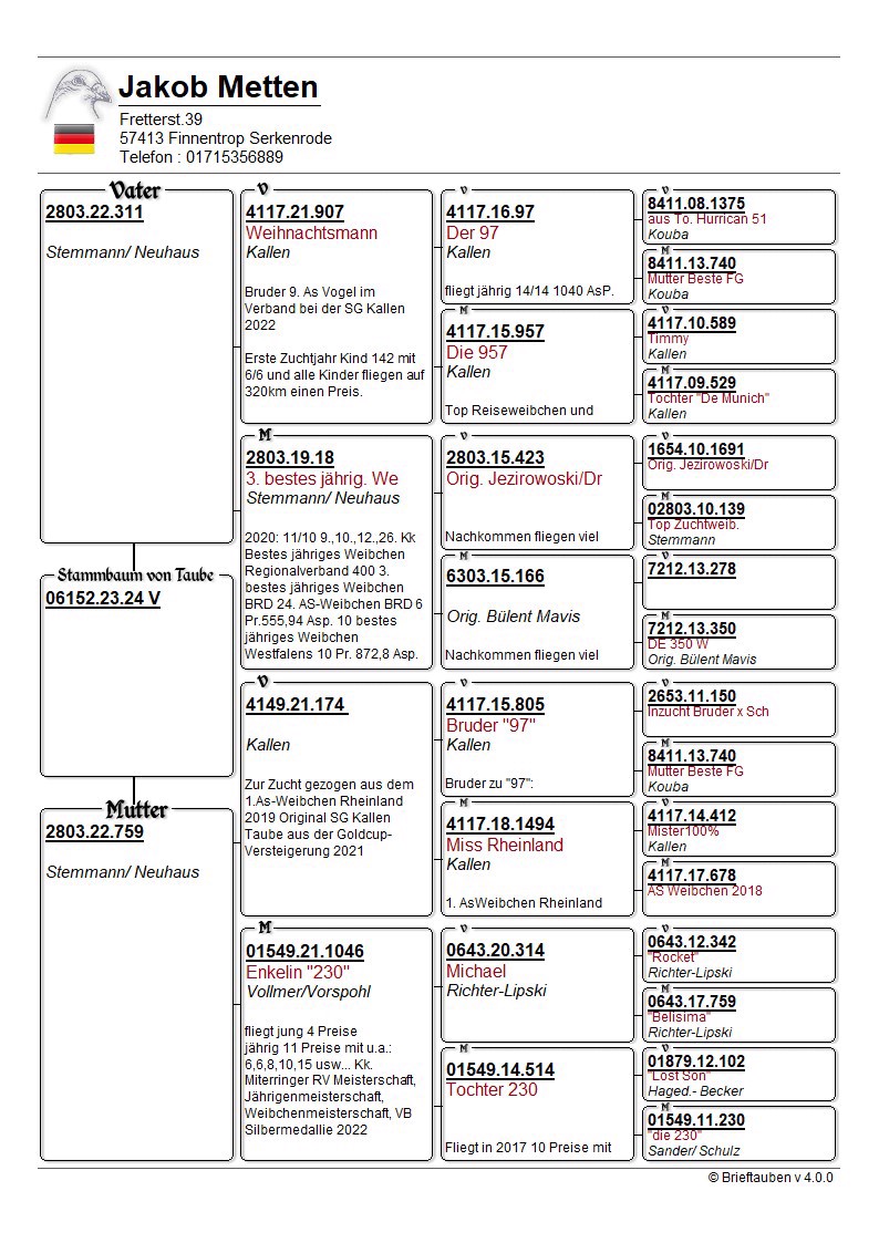 Pigeon pedigree image