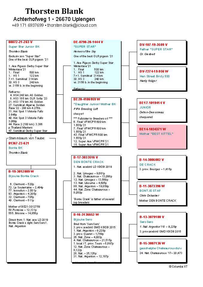 Pigeon pedigree image