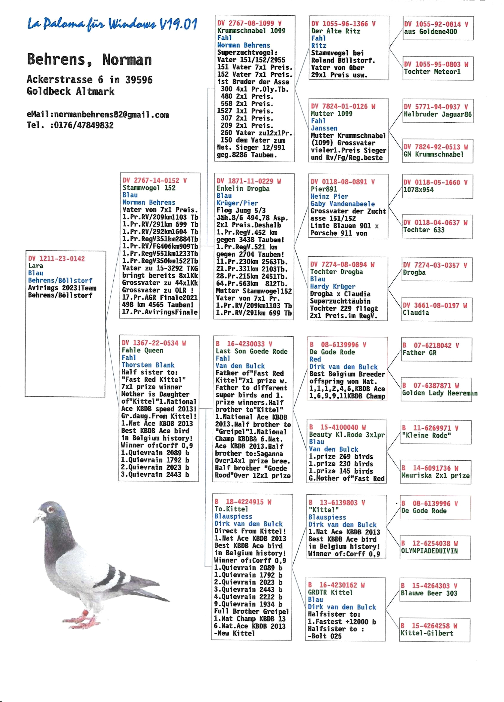 Pigeon pedigree image