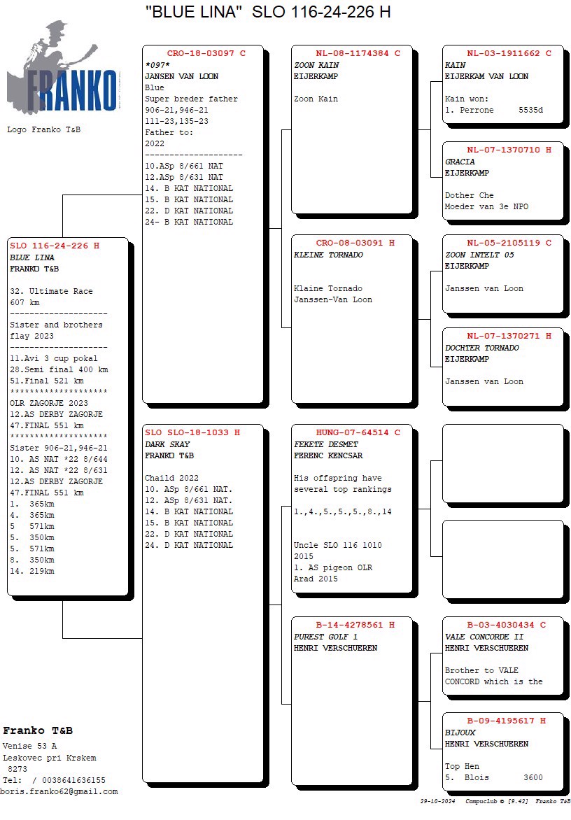 Pigeon pedigree image