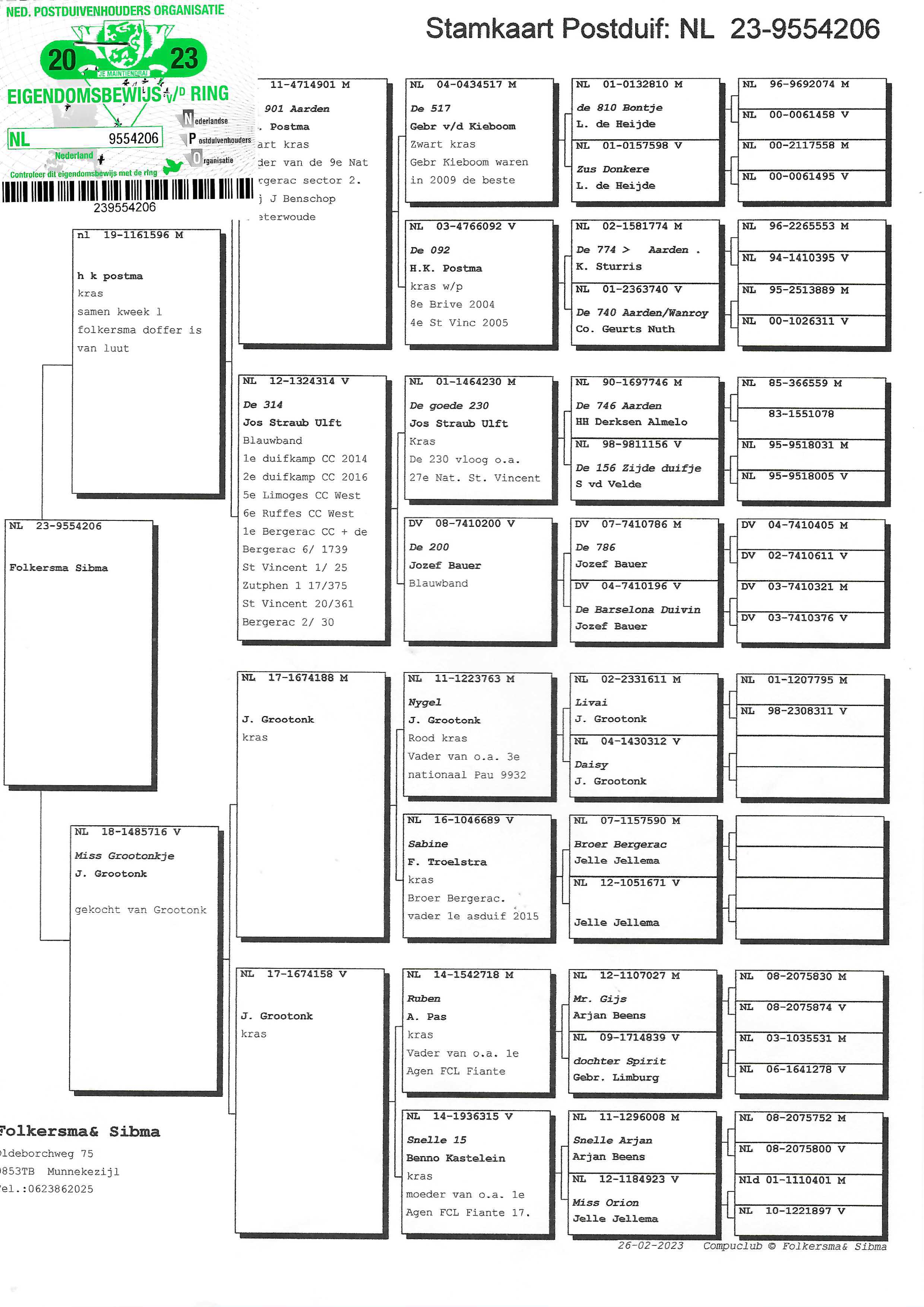 Pigeon pedigree image