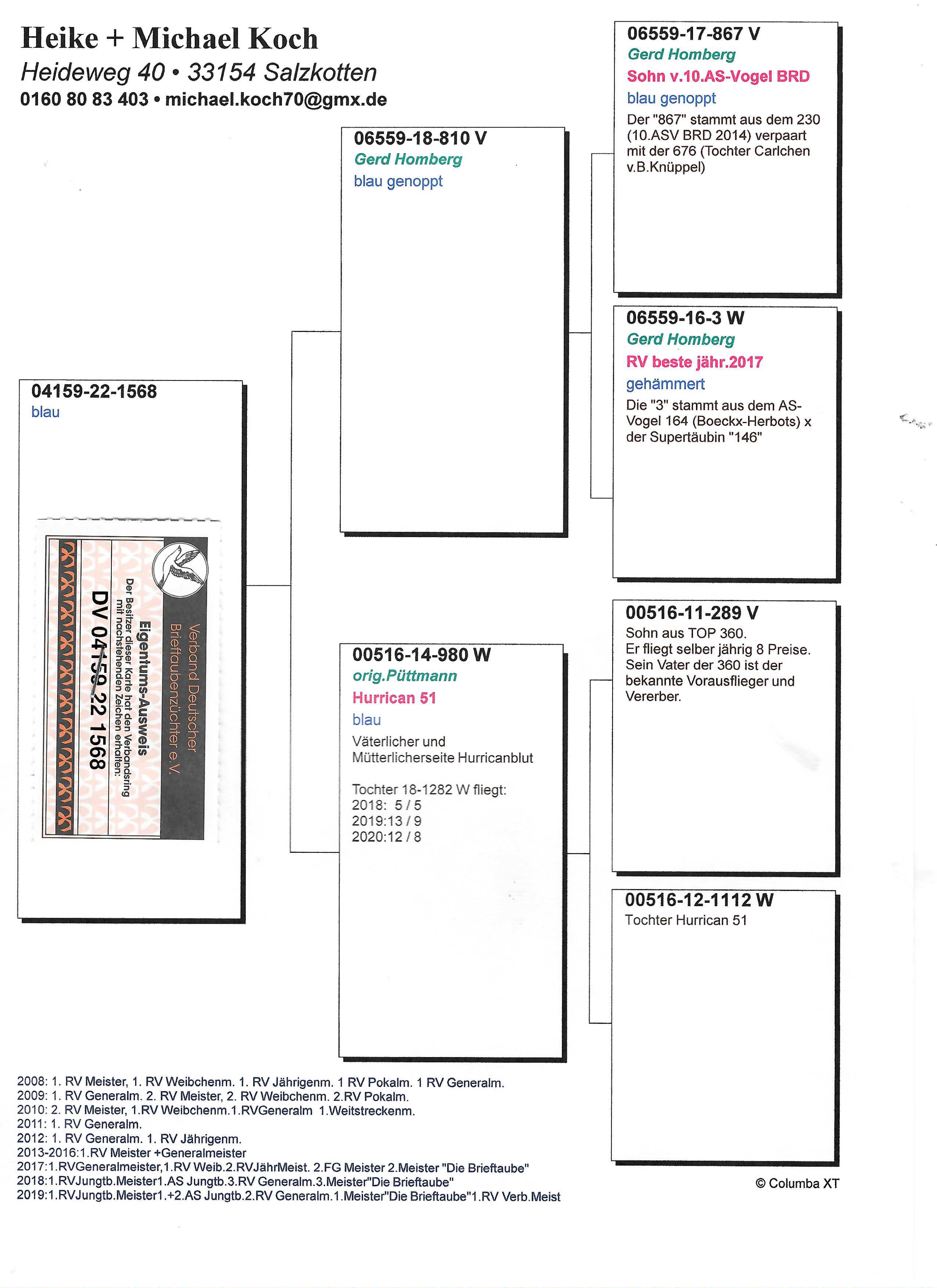 Pigeon pedigree image