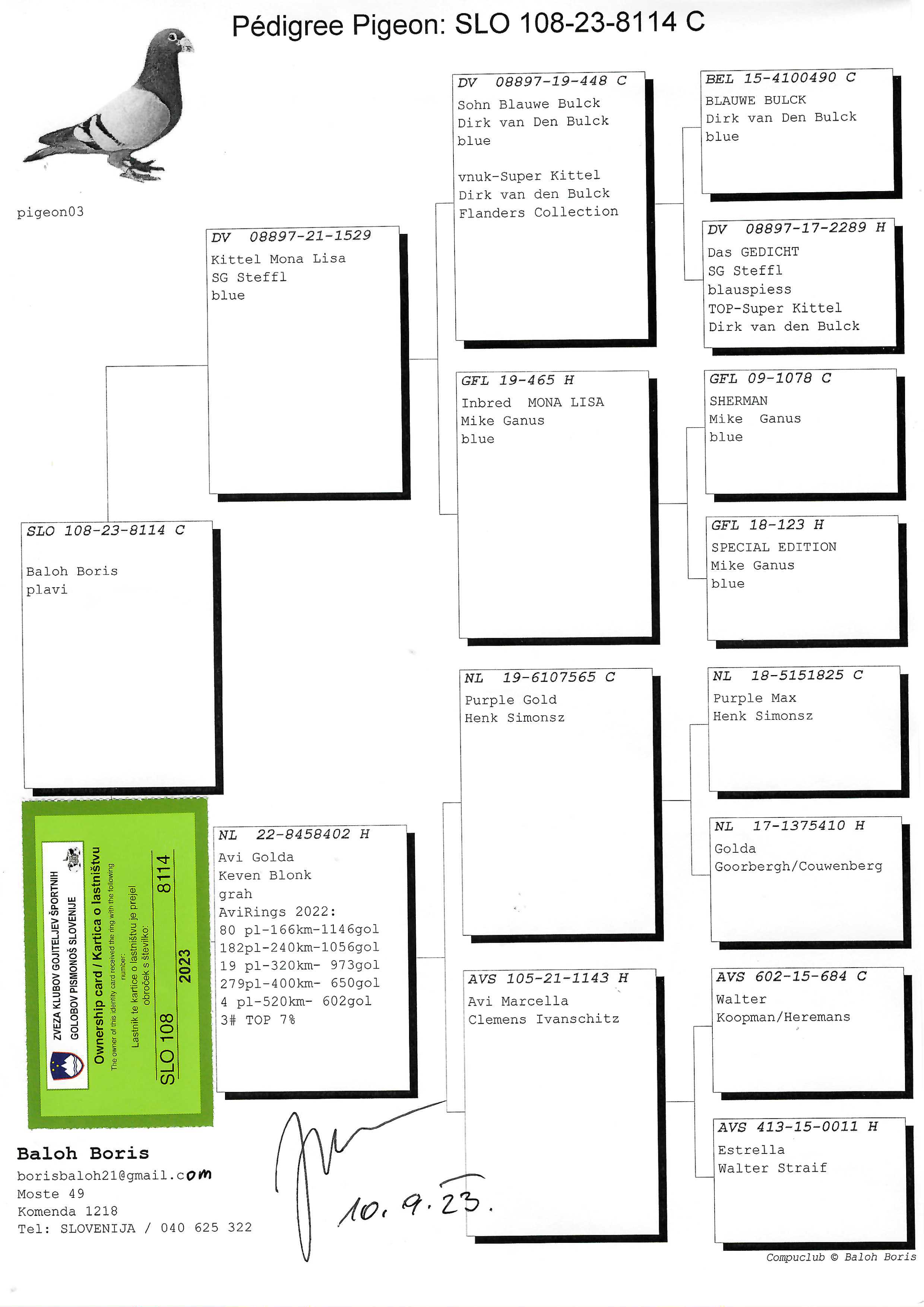 Pigeon pedigree image