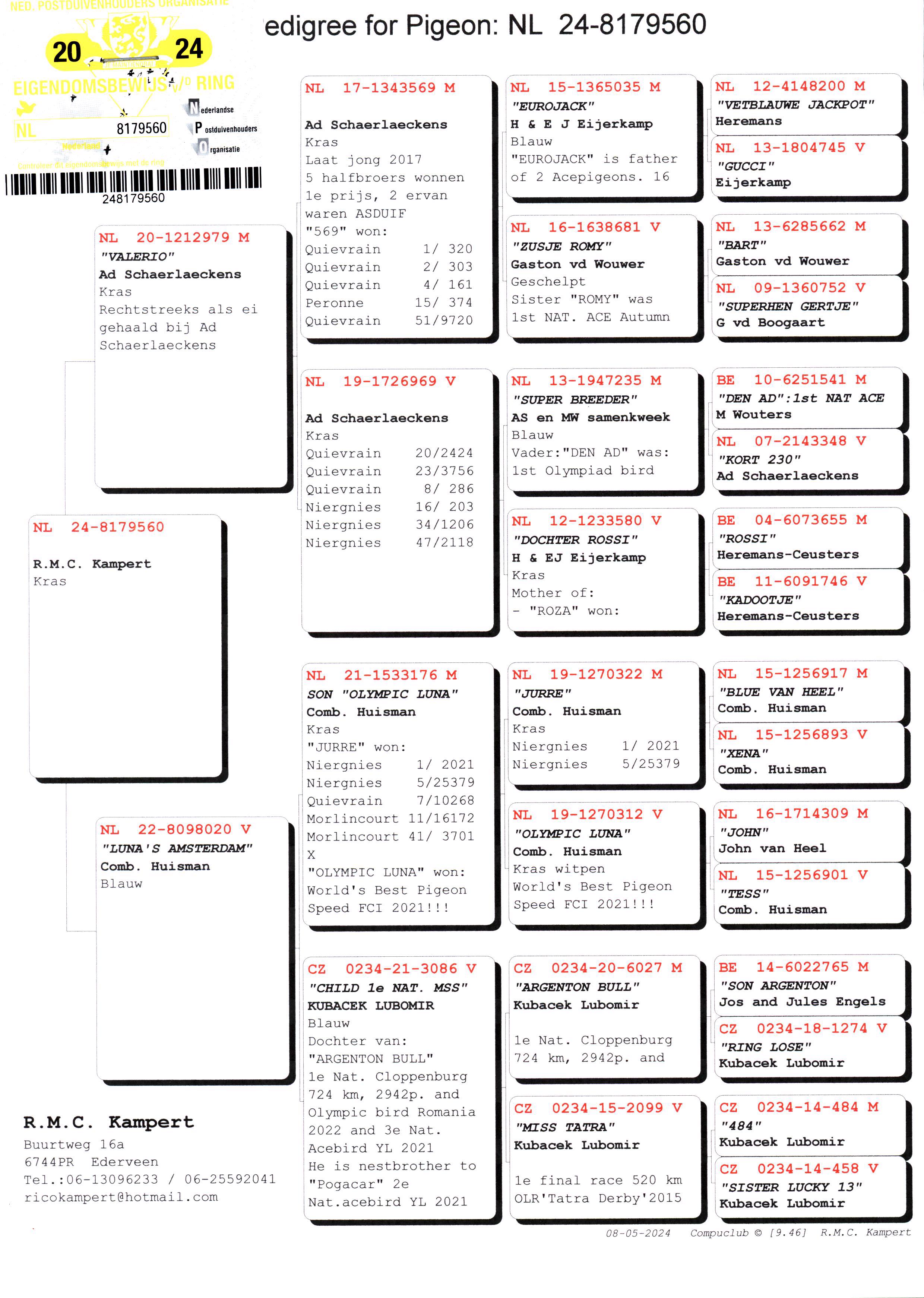 Pigeon pedigree image