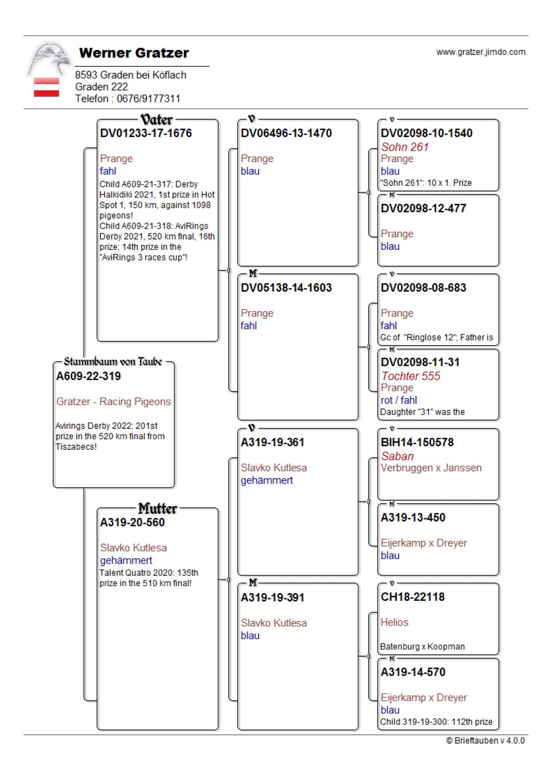 Pigeon pedigree image