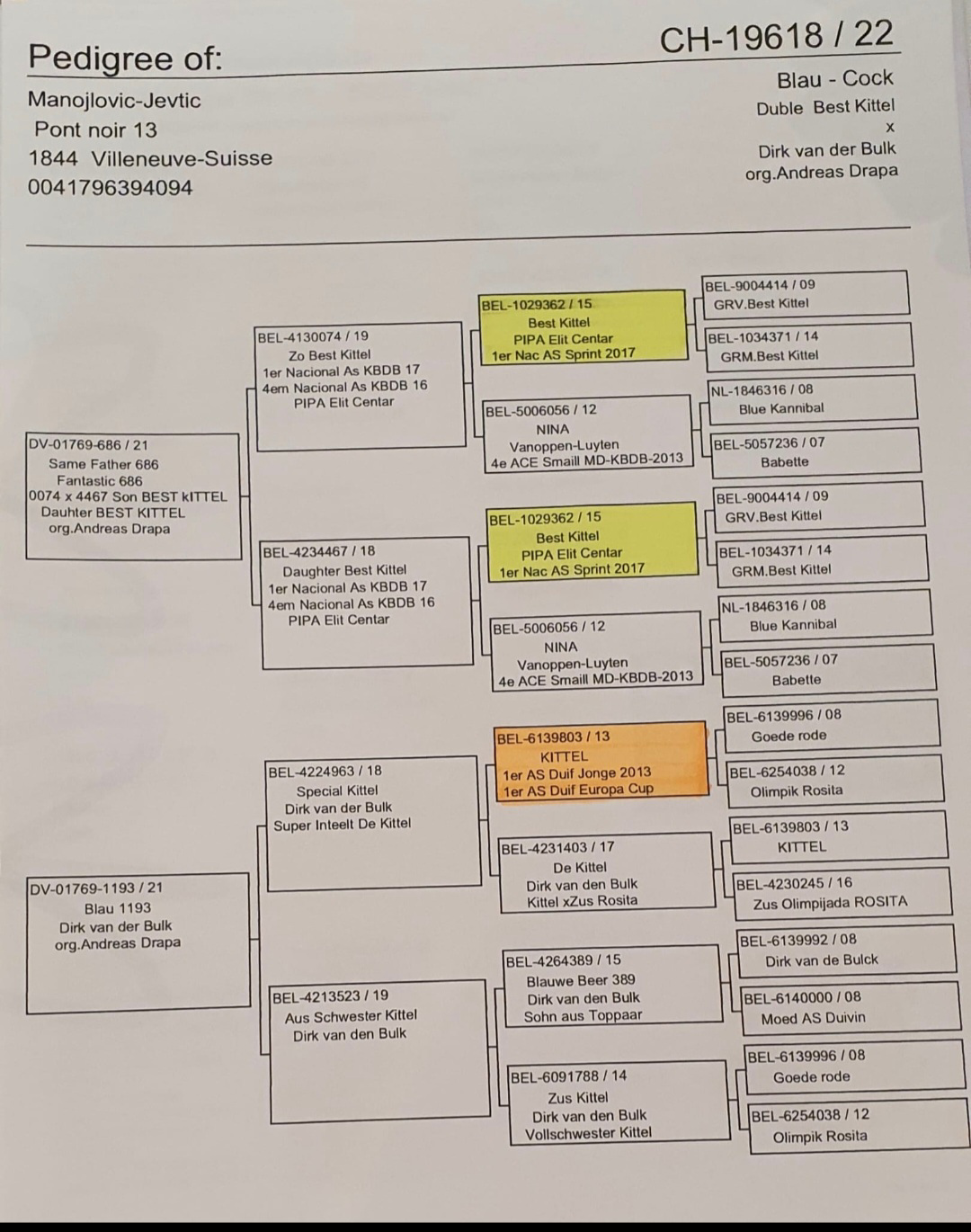 Pigeon pedigree image