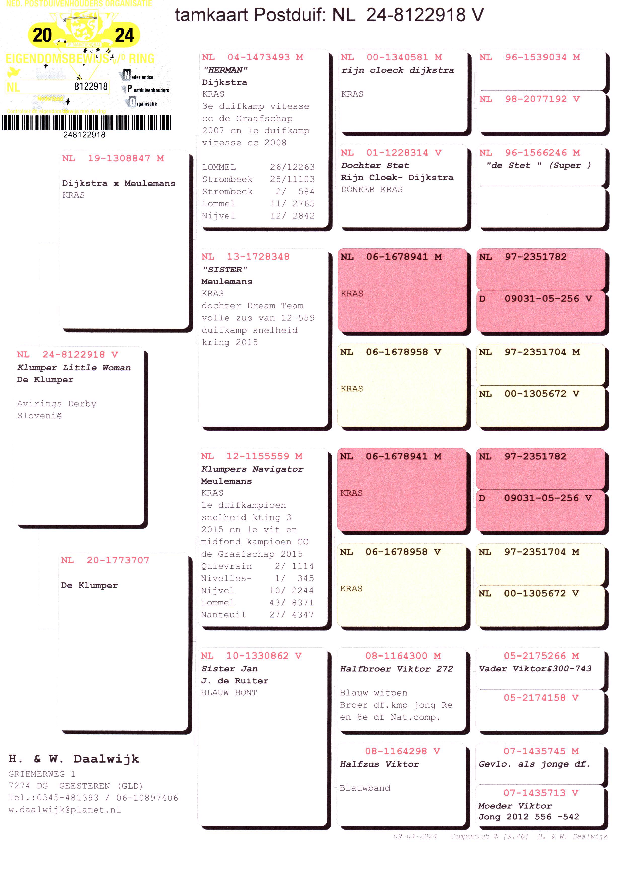 Pigeon pedigree image