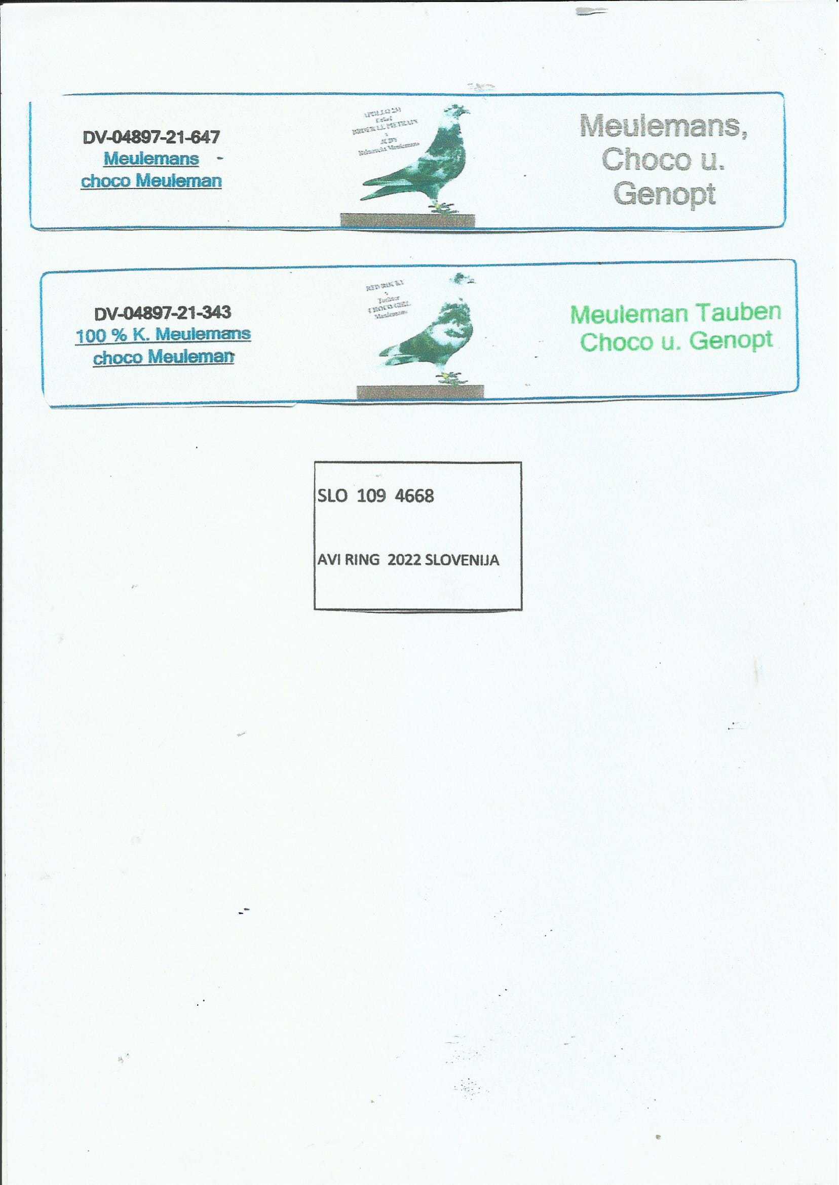 Pigeon pedigree image