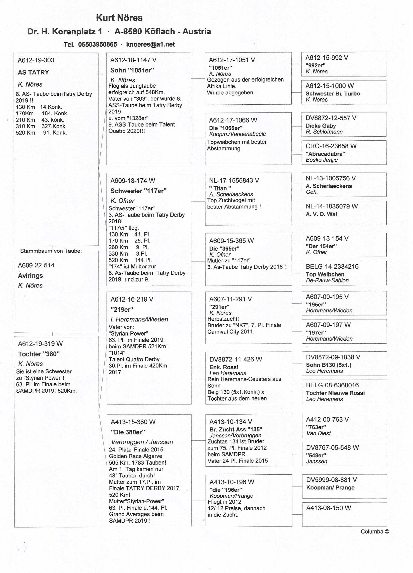 Pigeon pedigree image