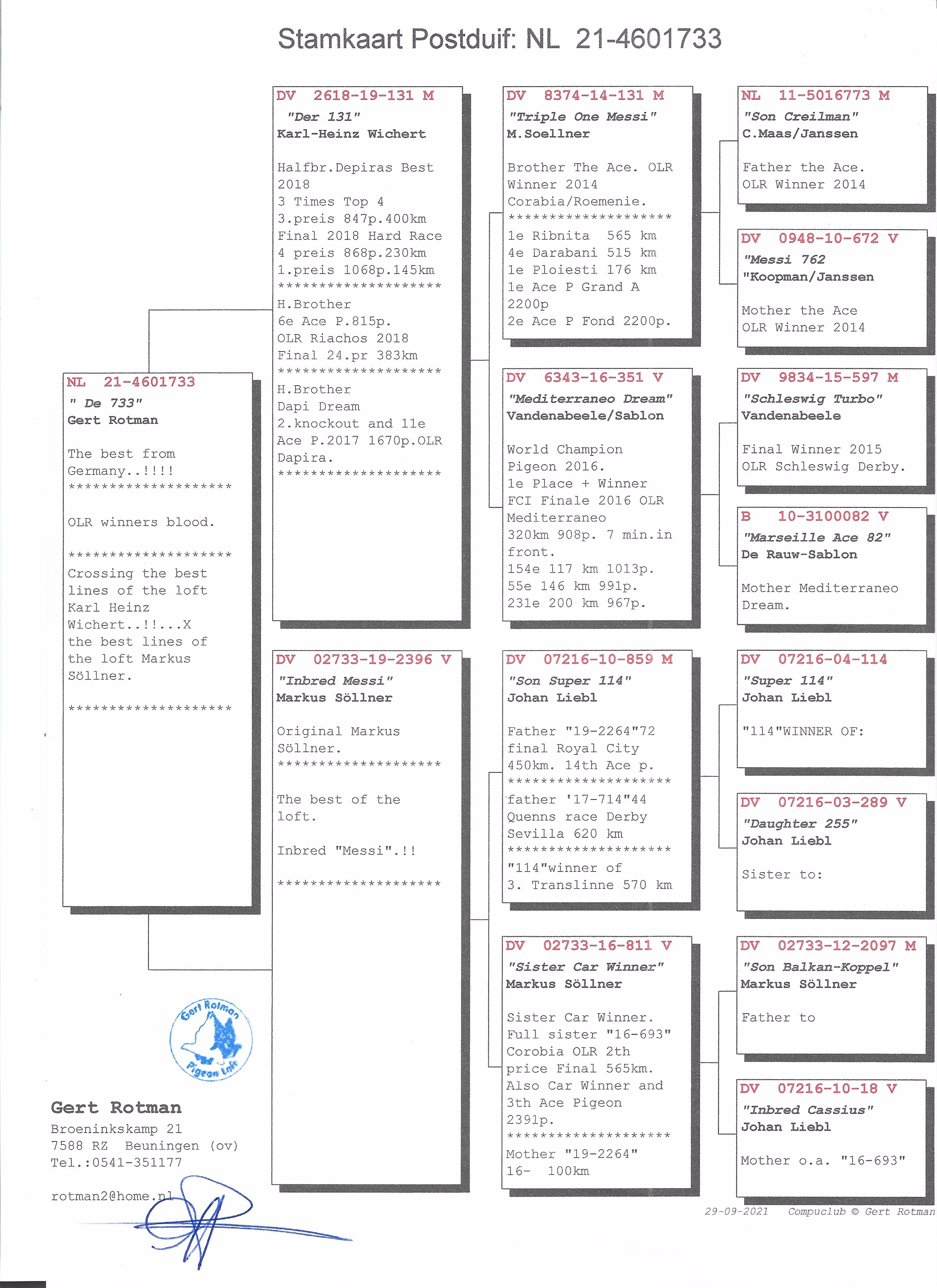 Pigeon pedigree image