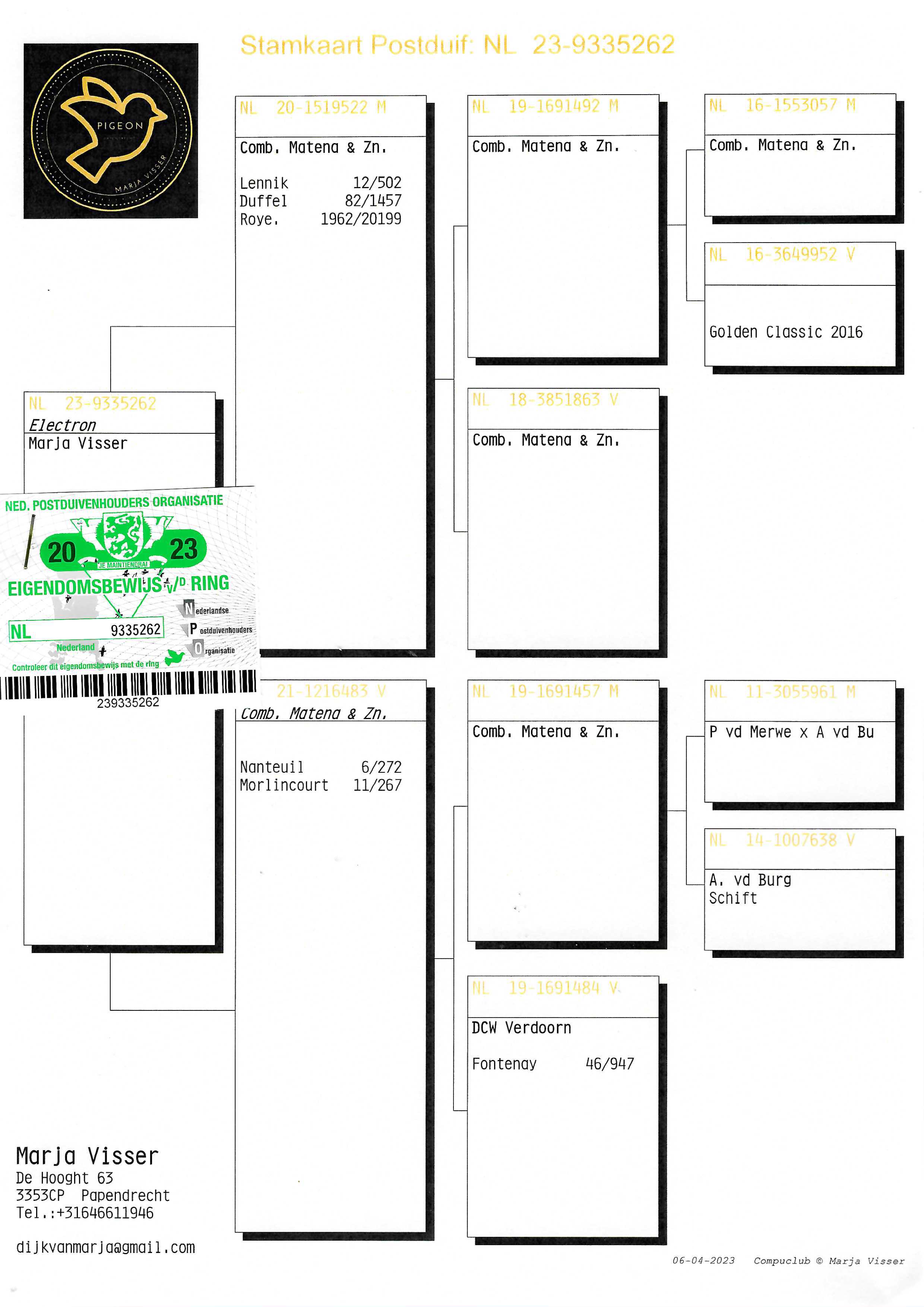 Pigeon pedigree image