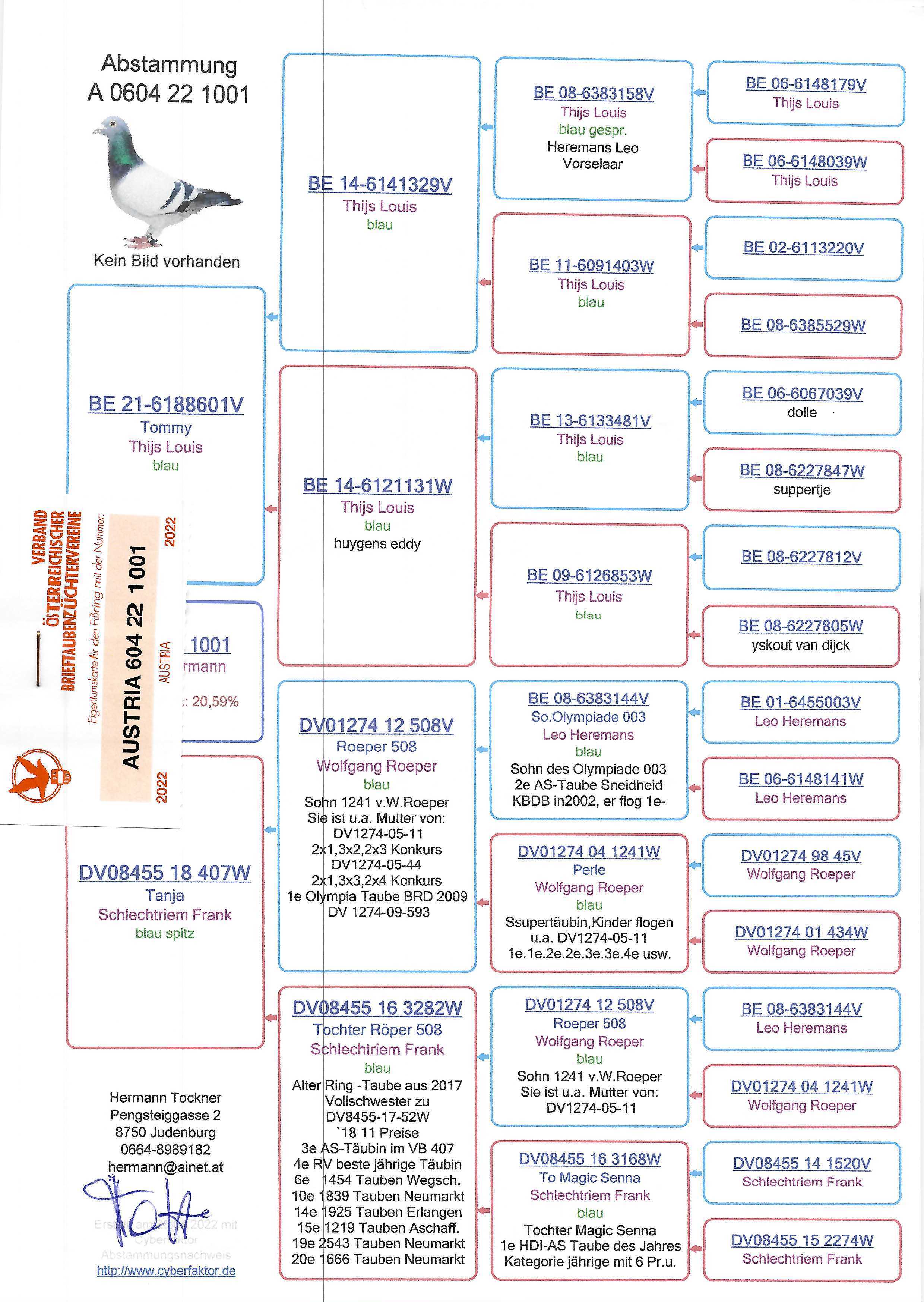 Pigeon pedigree image