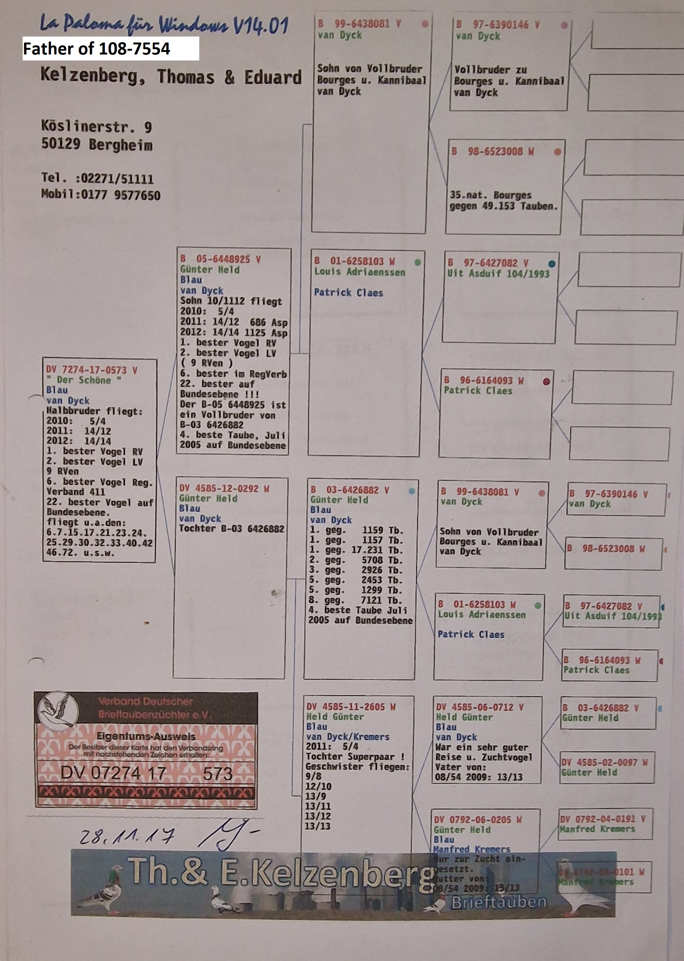 Pigeon pedigree image