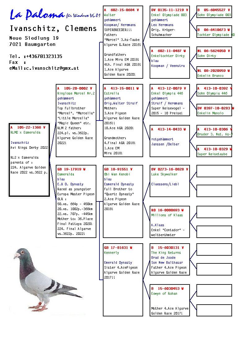 Pigeon pedigree image