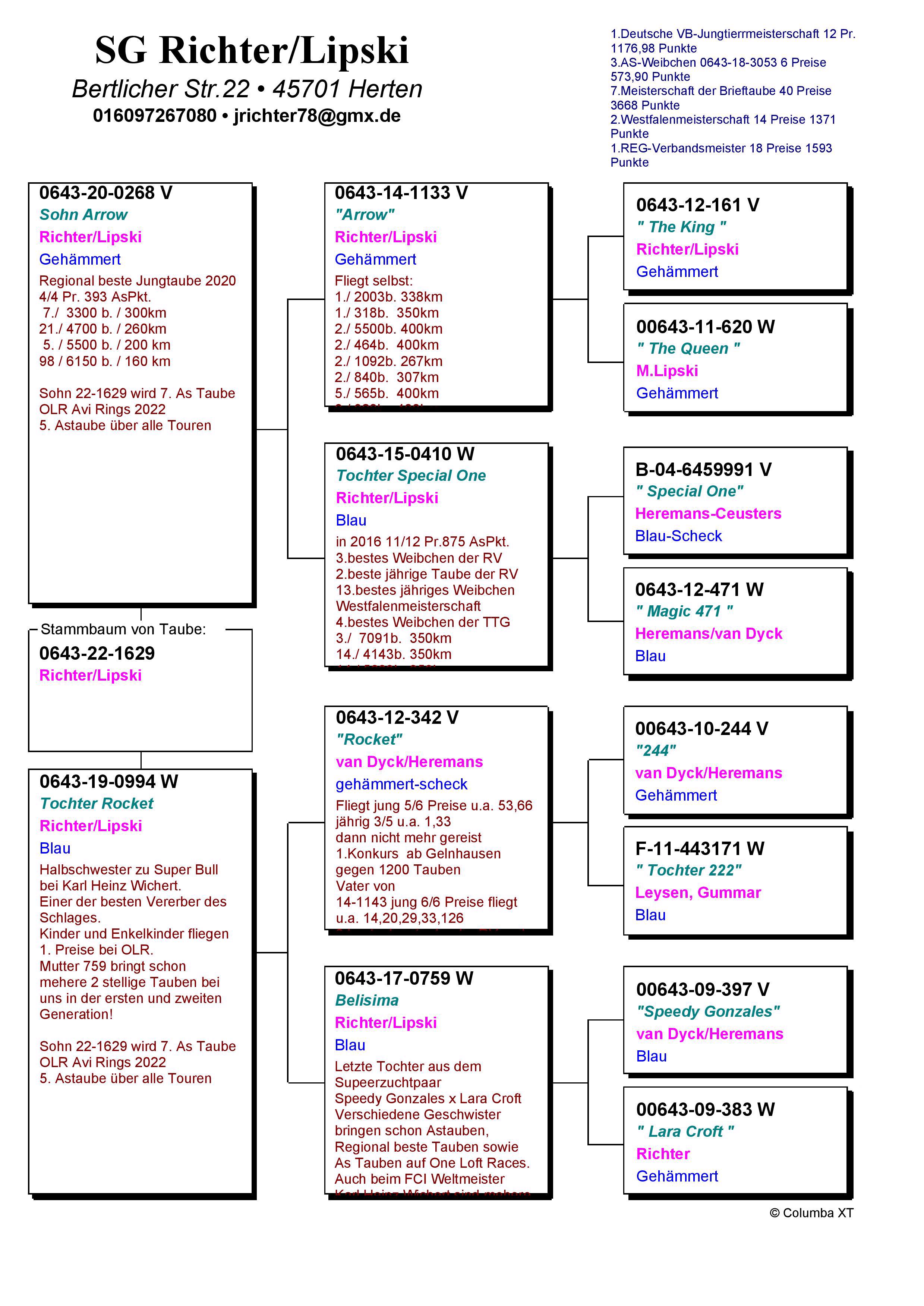 Pigeon pedigree image