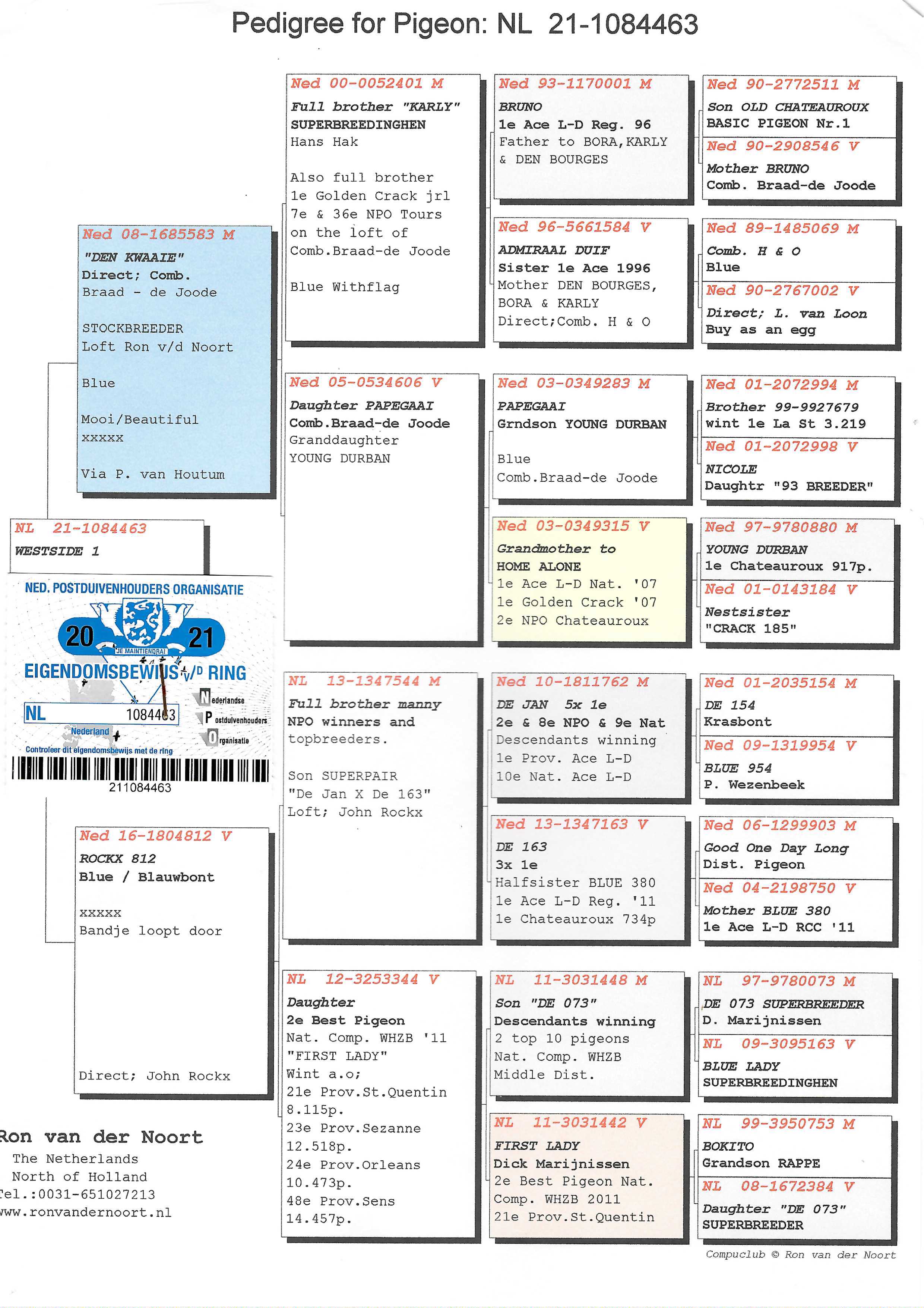 Pigeon pedigree image