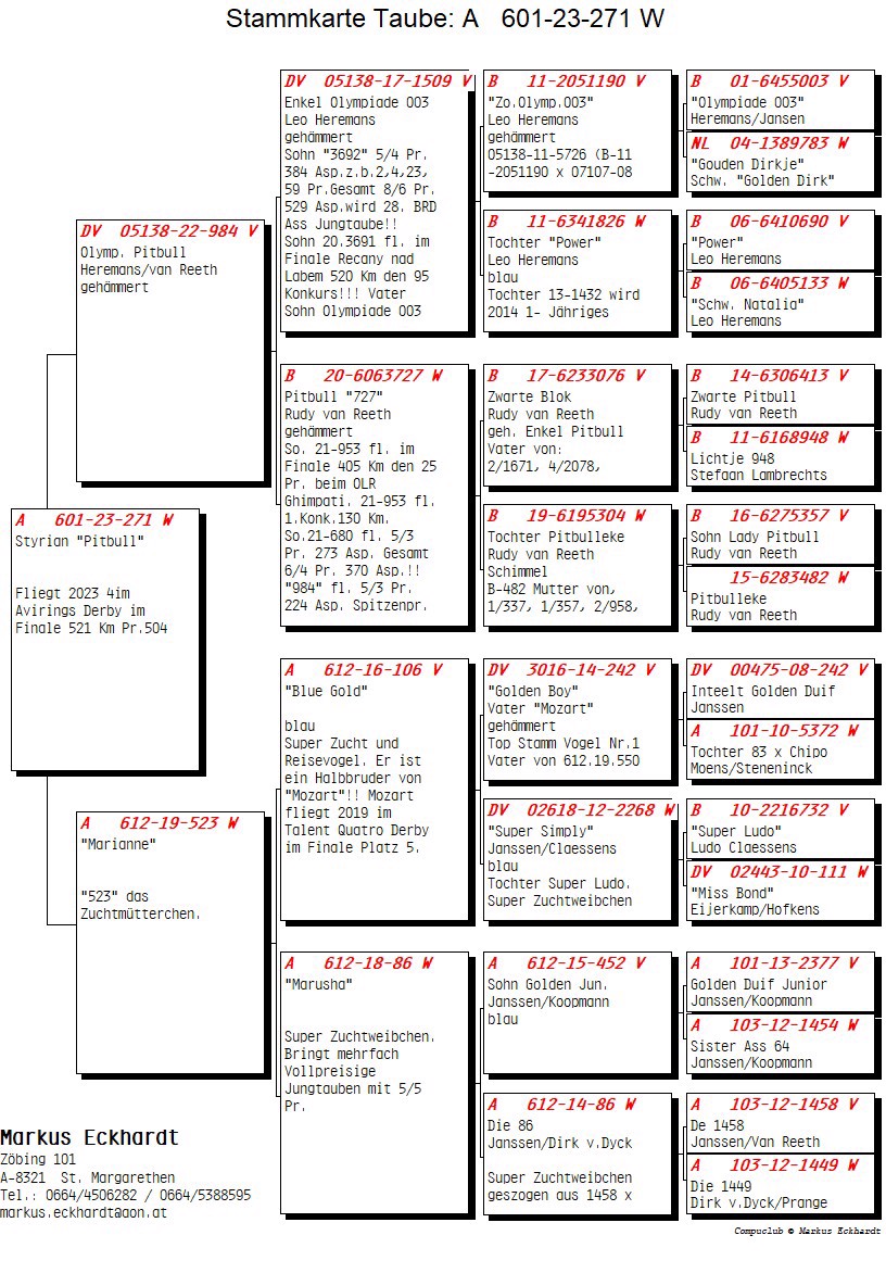 Pigeon pedigree image
