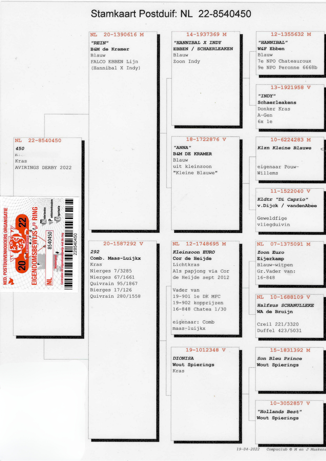 Pigeon pedigree image