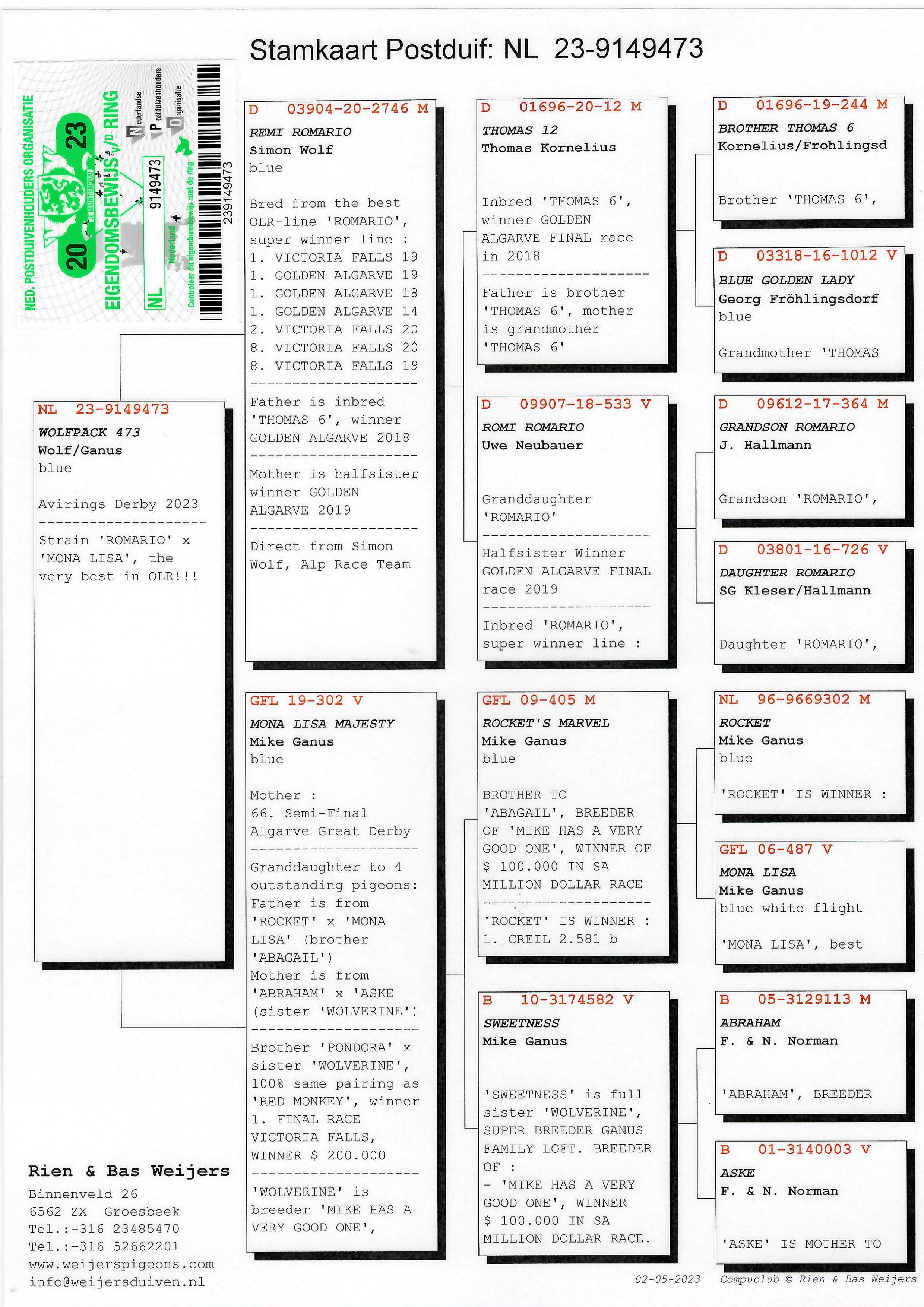 Pigeon pedigree image
