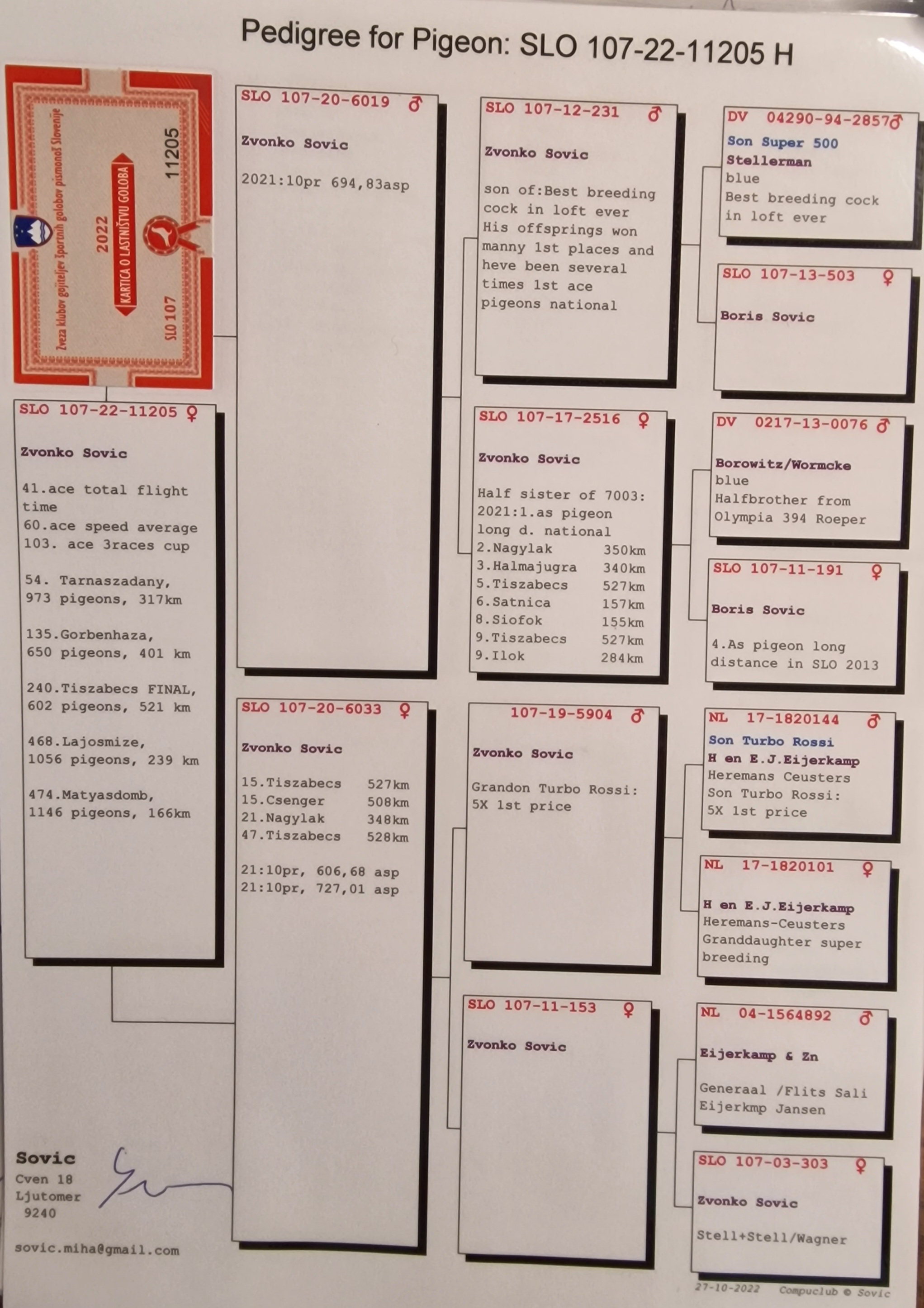 Pigeon pedigree image