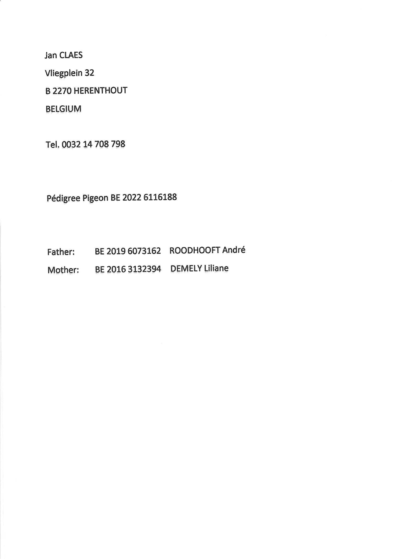 Pigeon pedigree image